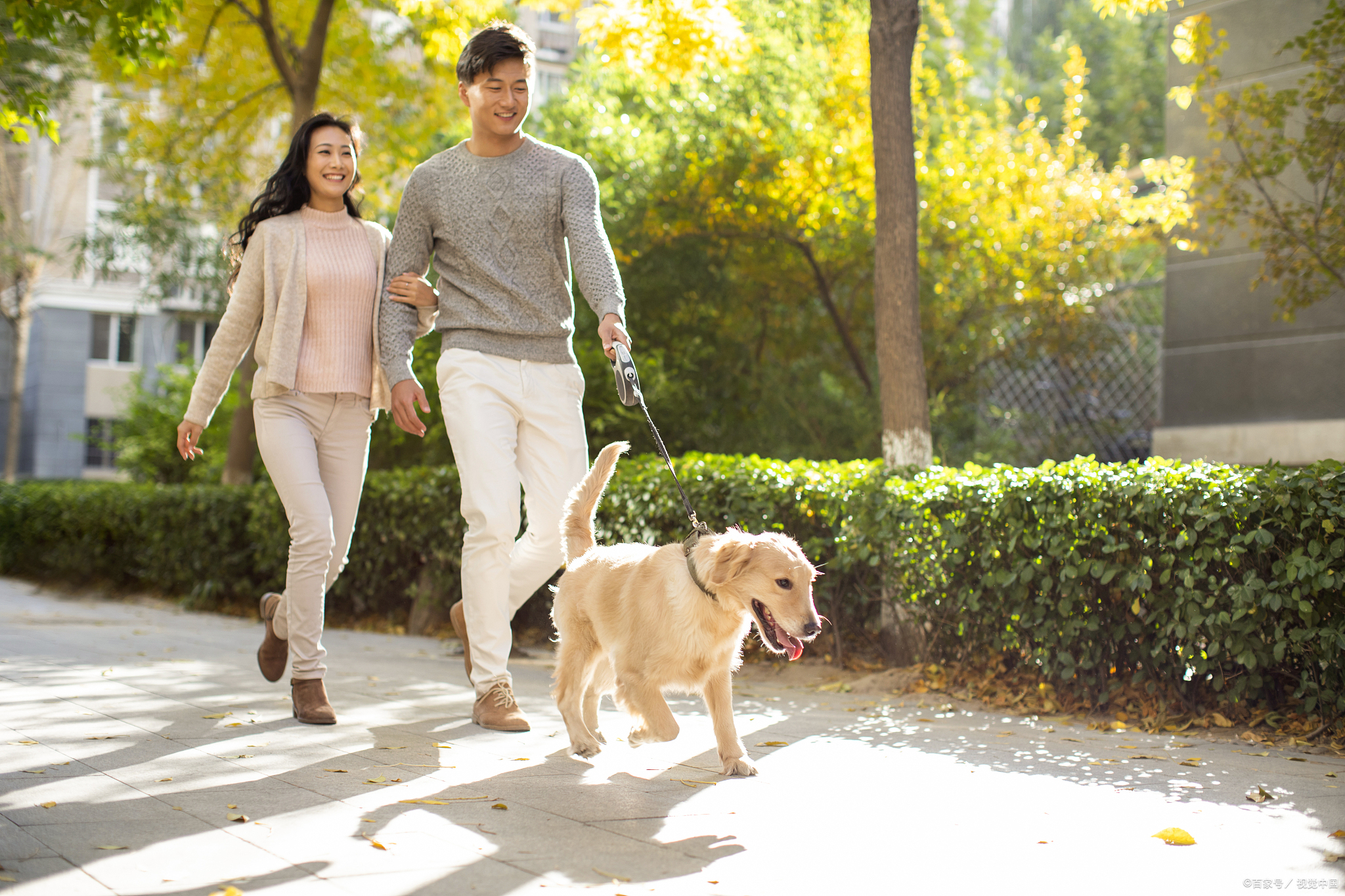 他可是吓得哇哇大壳Ｗ 狗狗散步的图片两人一条狗图片牵狗散步的图片