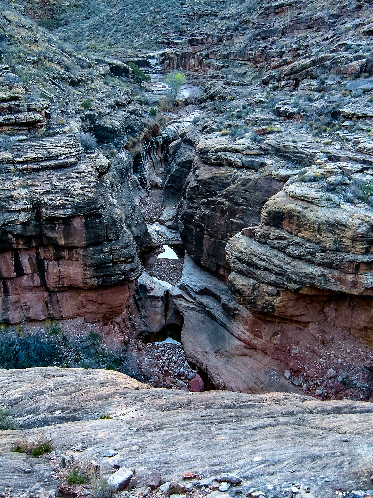 **长白山锦江大峡谷:火山熔岩雕刻的"天然盆景"**