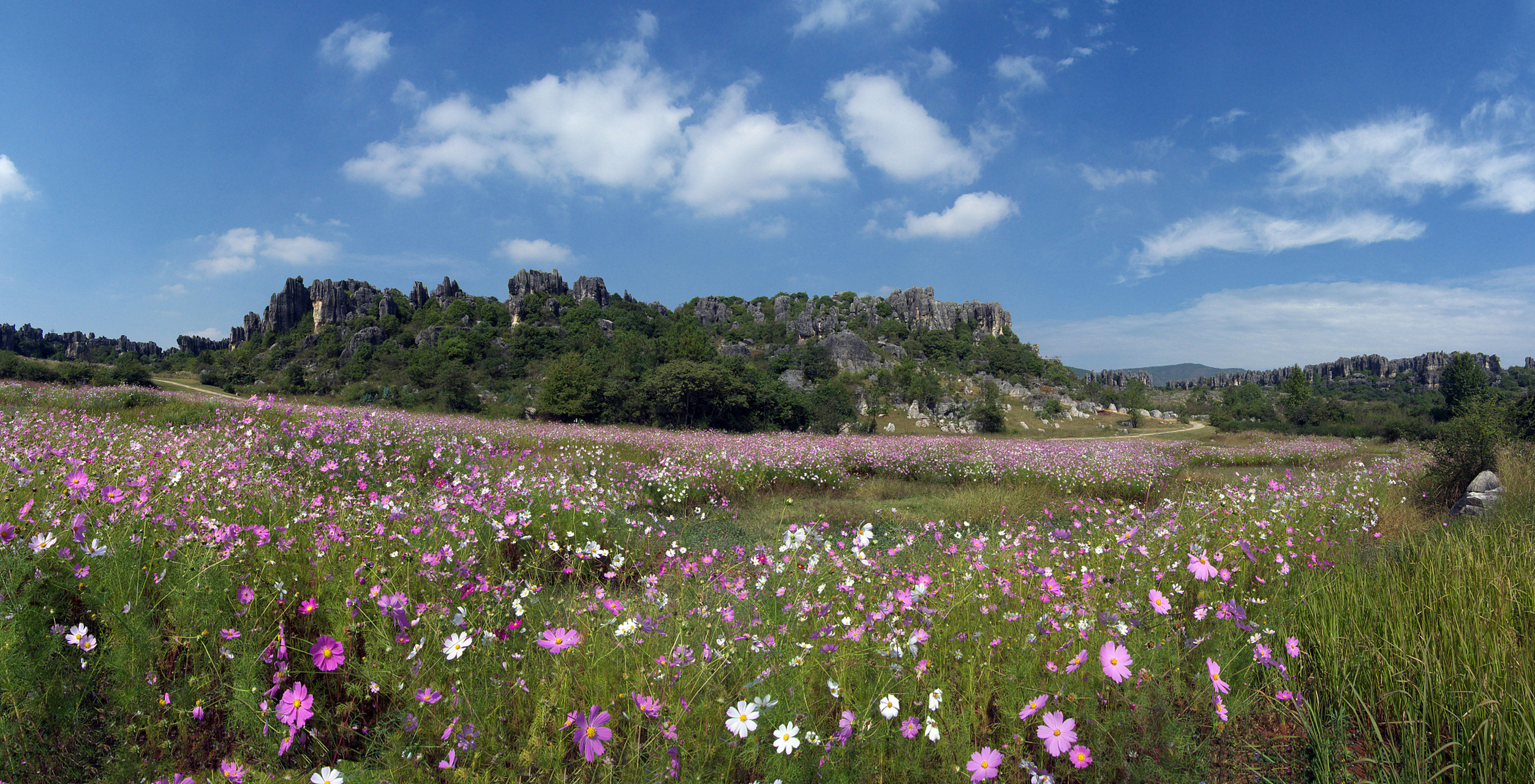 丫山花海石林风景区,位于安徽省芜湖市南陵县何湾镇,属典型的喀斯特