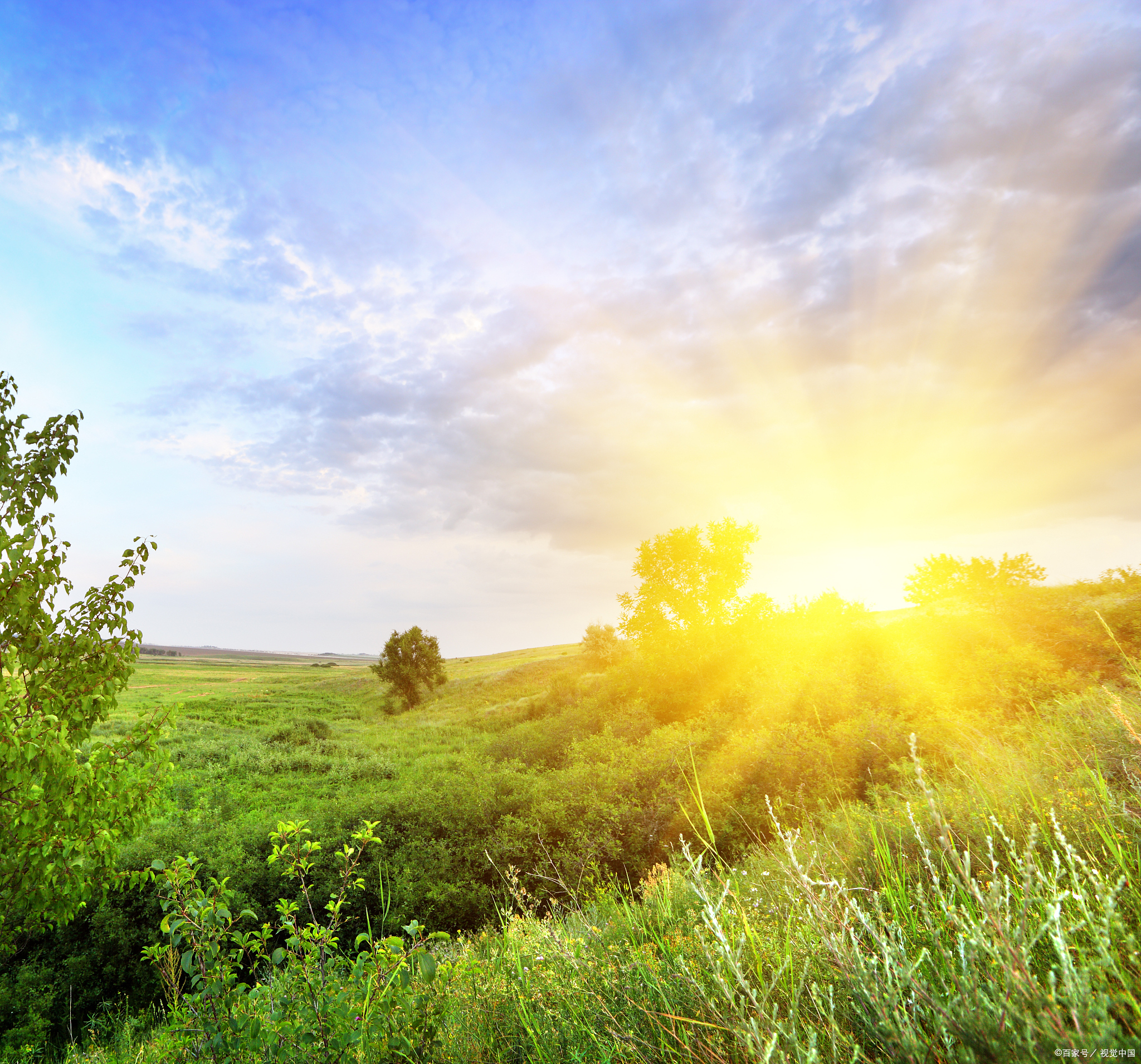用不着把一句夕阳无限好,只是近黄昏的千古绝唱反复品