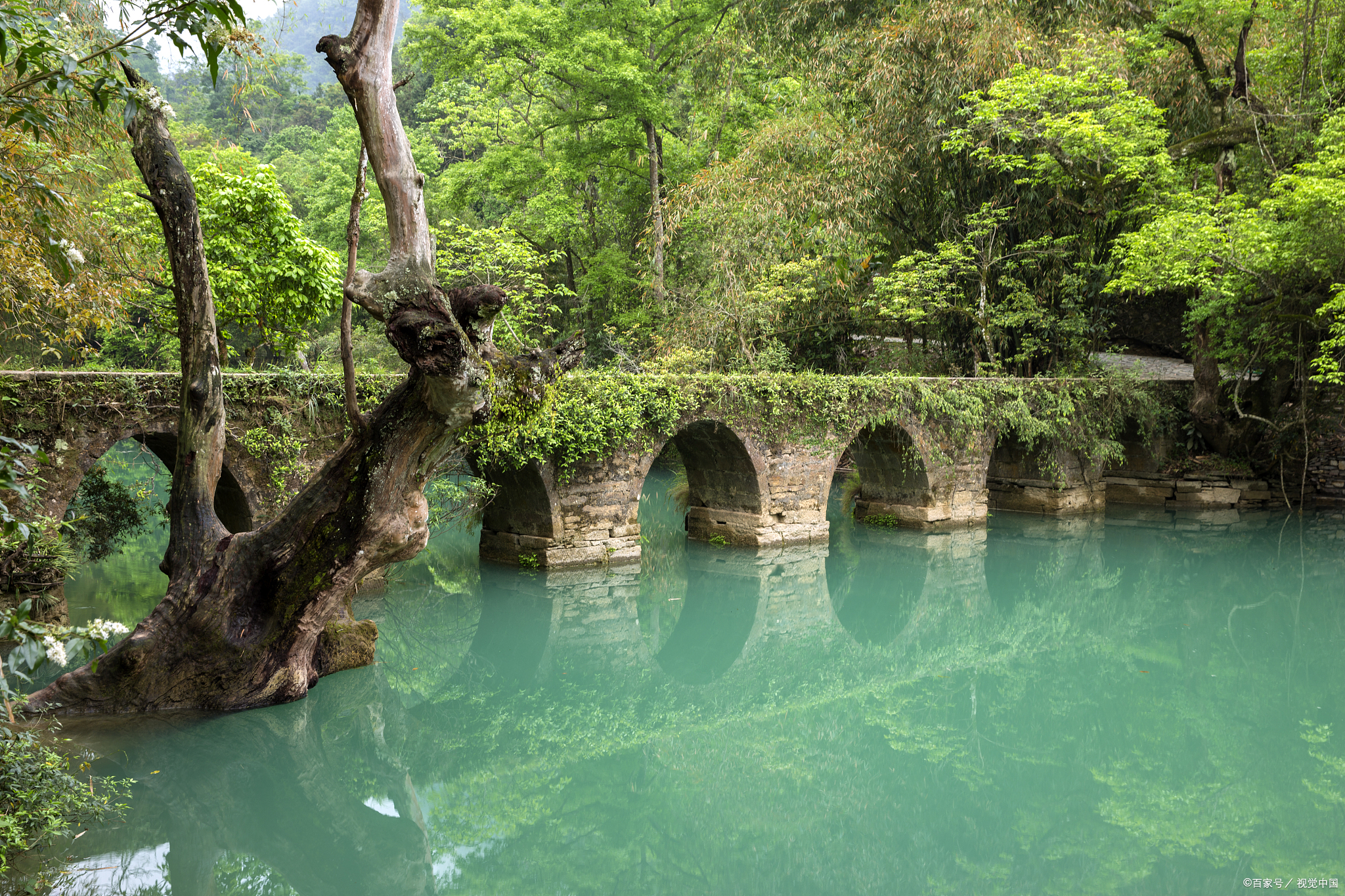 贵州荔波旅游攻略-荔波必去景点-探索"地球腰带上的绿宝石"