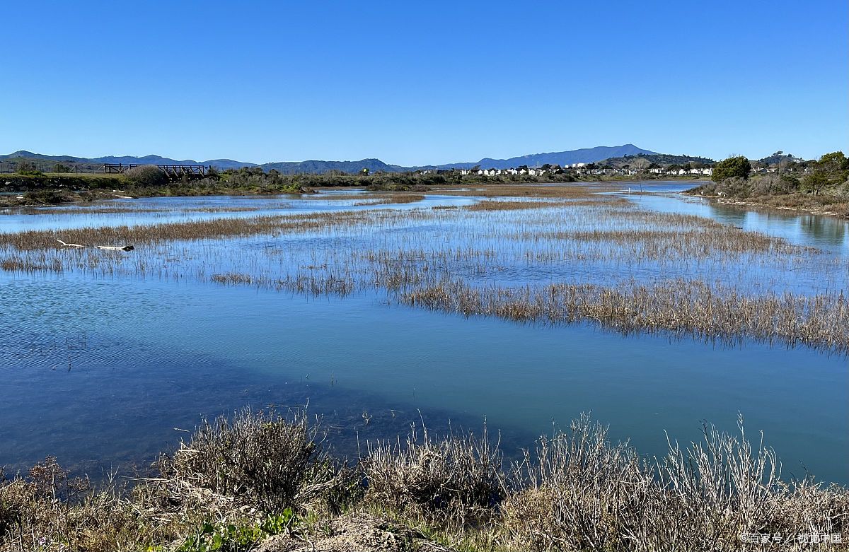 毕节威宁草海的环保投入,环保投入资金大数据,生态保护重!