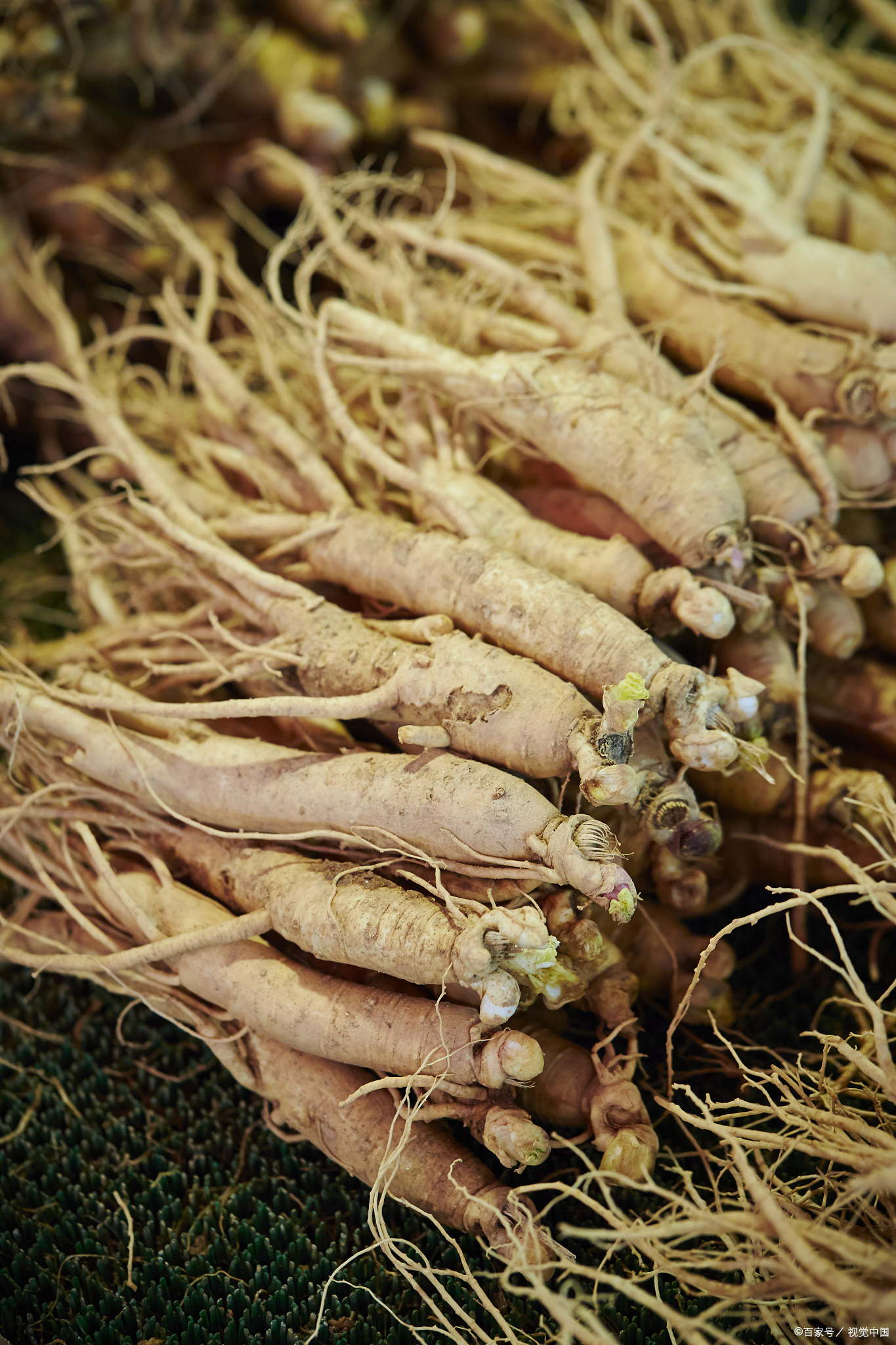 相信有很多家长都发现了,但凡孩子一感冒,十之八九都会咳嗽