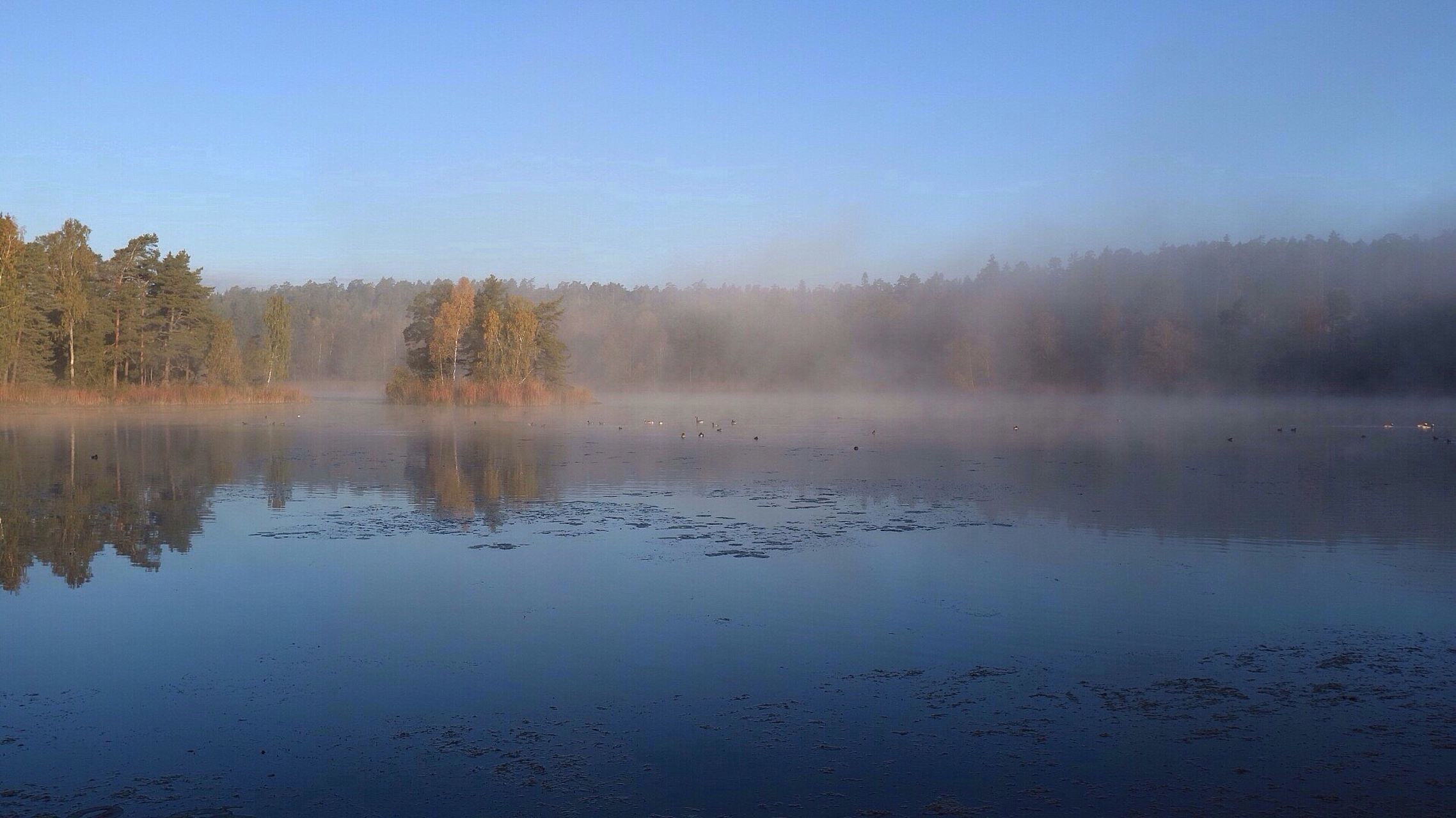 经典书籍分享;《瓦尔登湖》 《瓦尔登湖》共由18篇散文组成,在四季