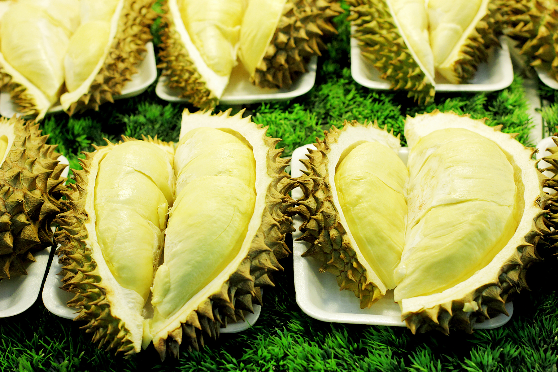 我认为主要得益于榴莲富含维生素,矿物质和纤维,它被认为有助于提高