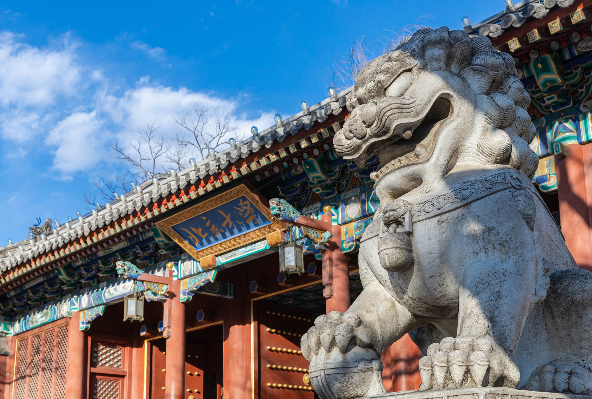 蔡元培先生若泉下有知,应该也会感到高兴.