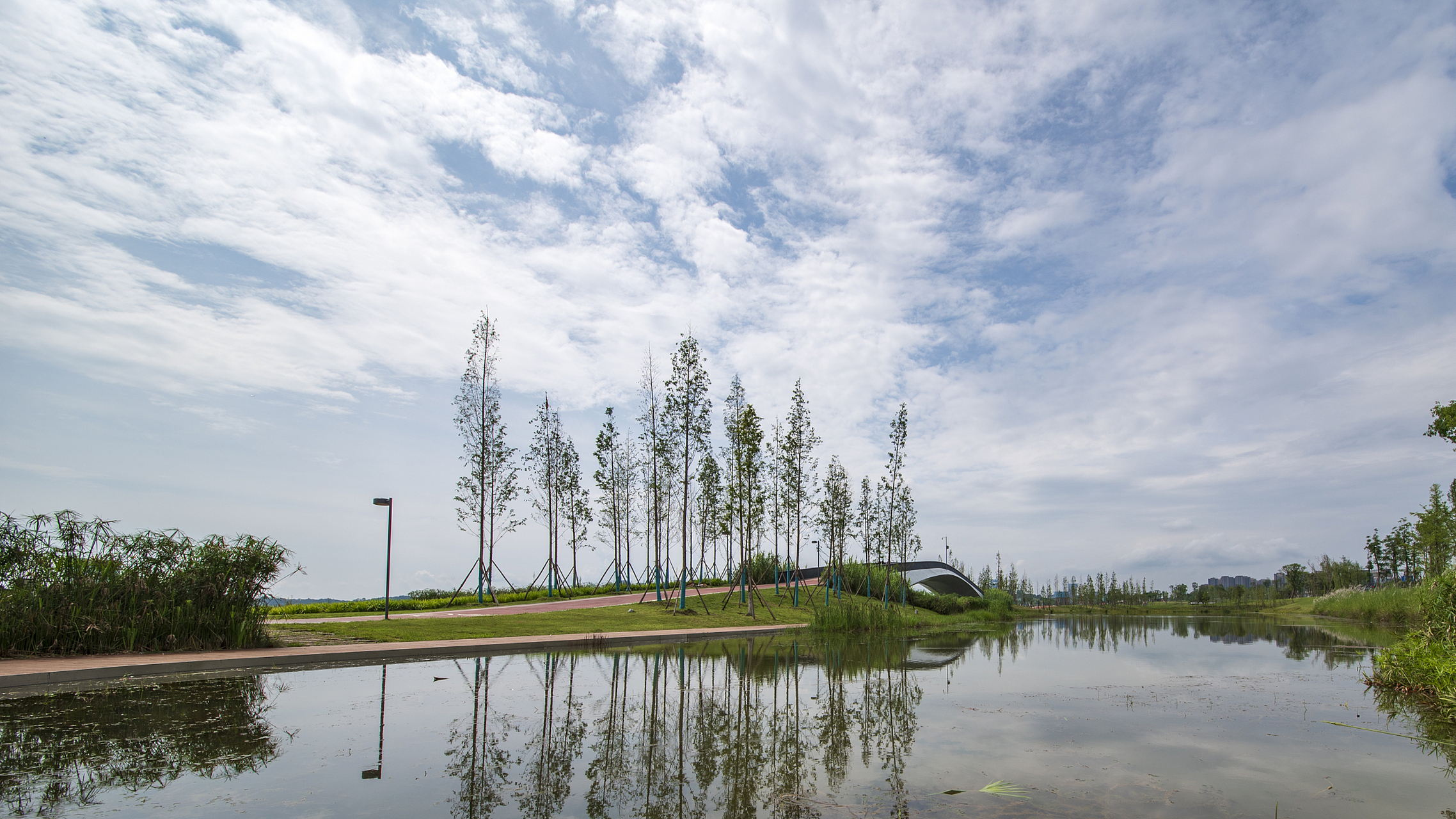 陶冲湖公园位于安徽省合肥市的美丽公园,占地面积约为1600亩,其中湖面