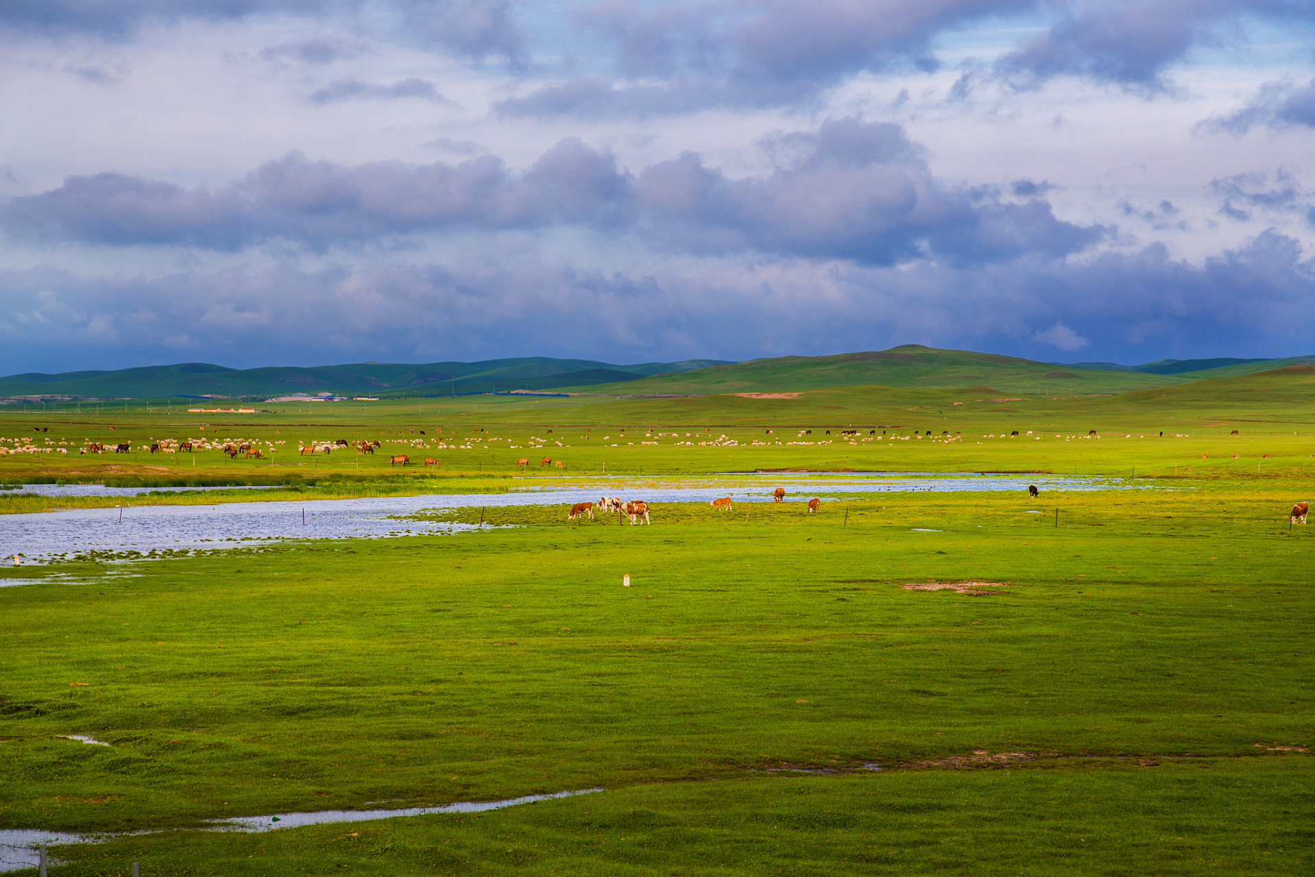 探索希拉穆仁草原,感受内蒙古包头市的壮美风光和丰富民俗!