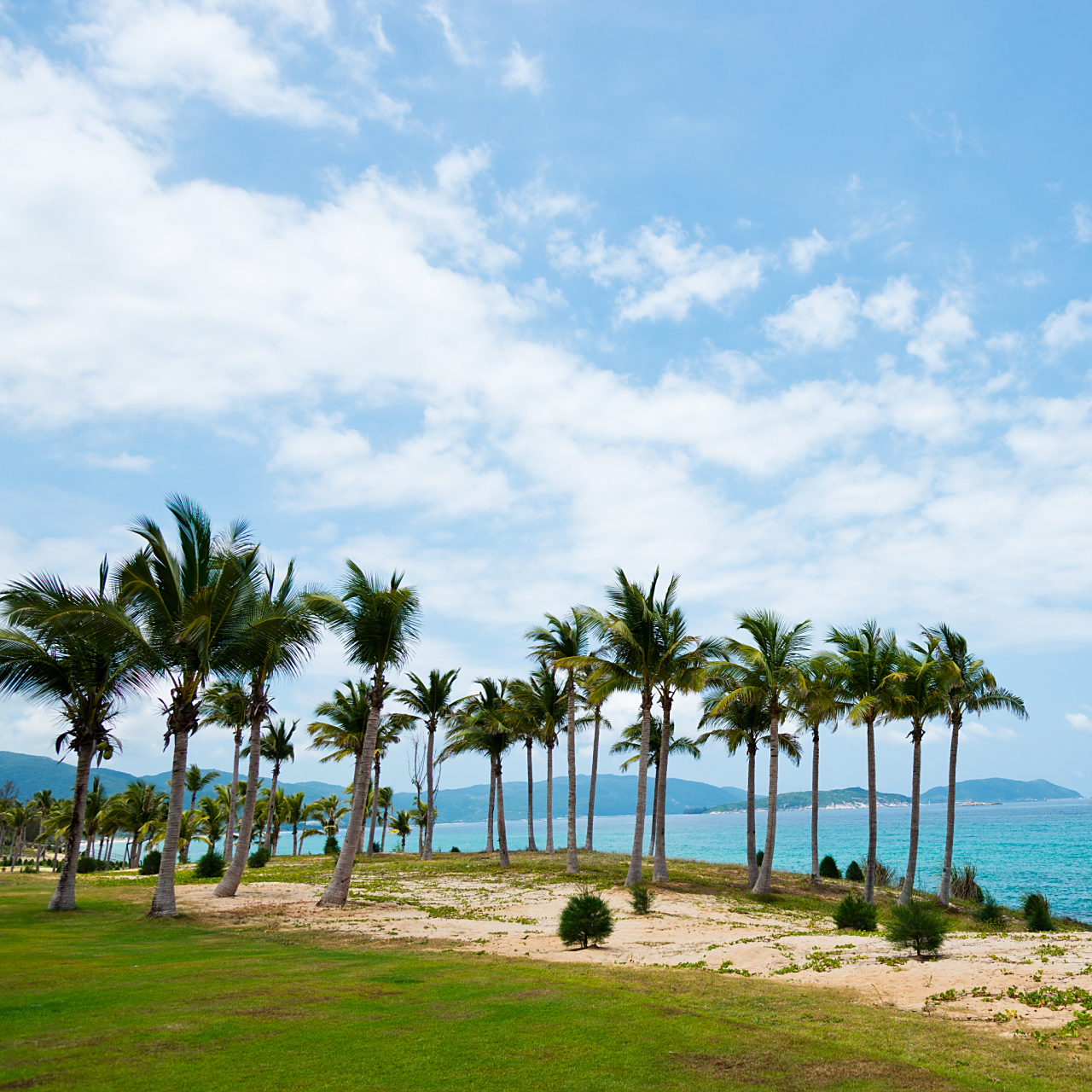 嬉行记# 三亚椰子洲岛,位于中国海南岛南部的三亚市附近,是一片翠绿