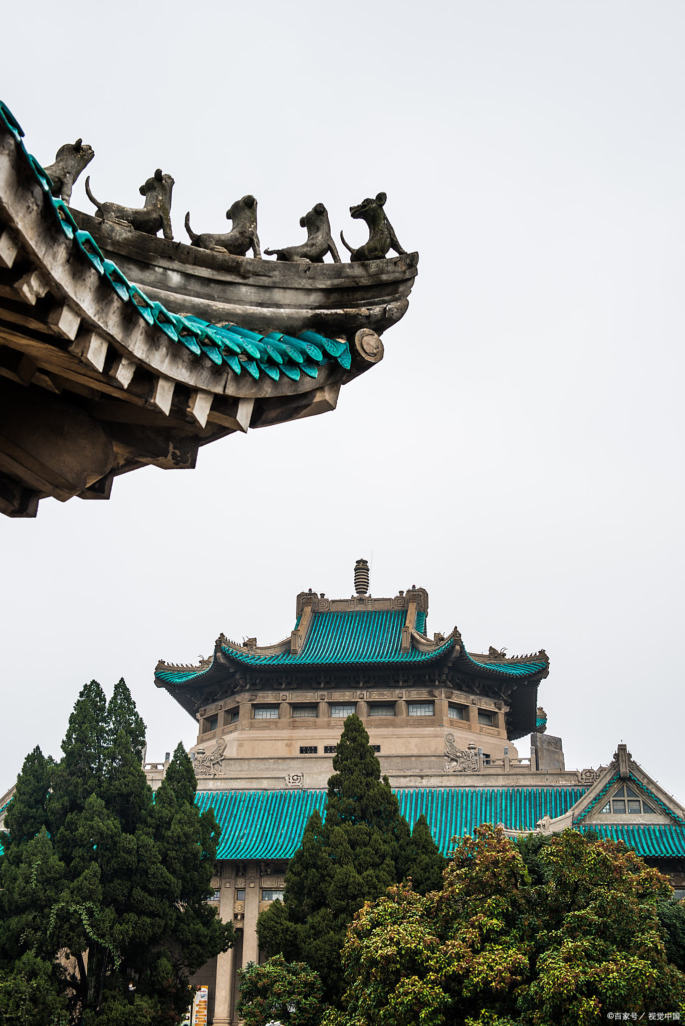 前几天,我终于有机会亲自去武汉大学走了一遭,感受了一下那些古老建筑