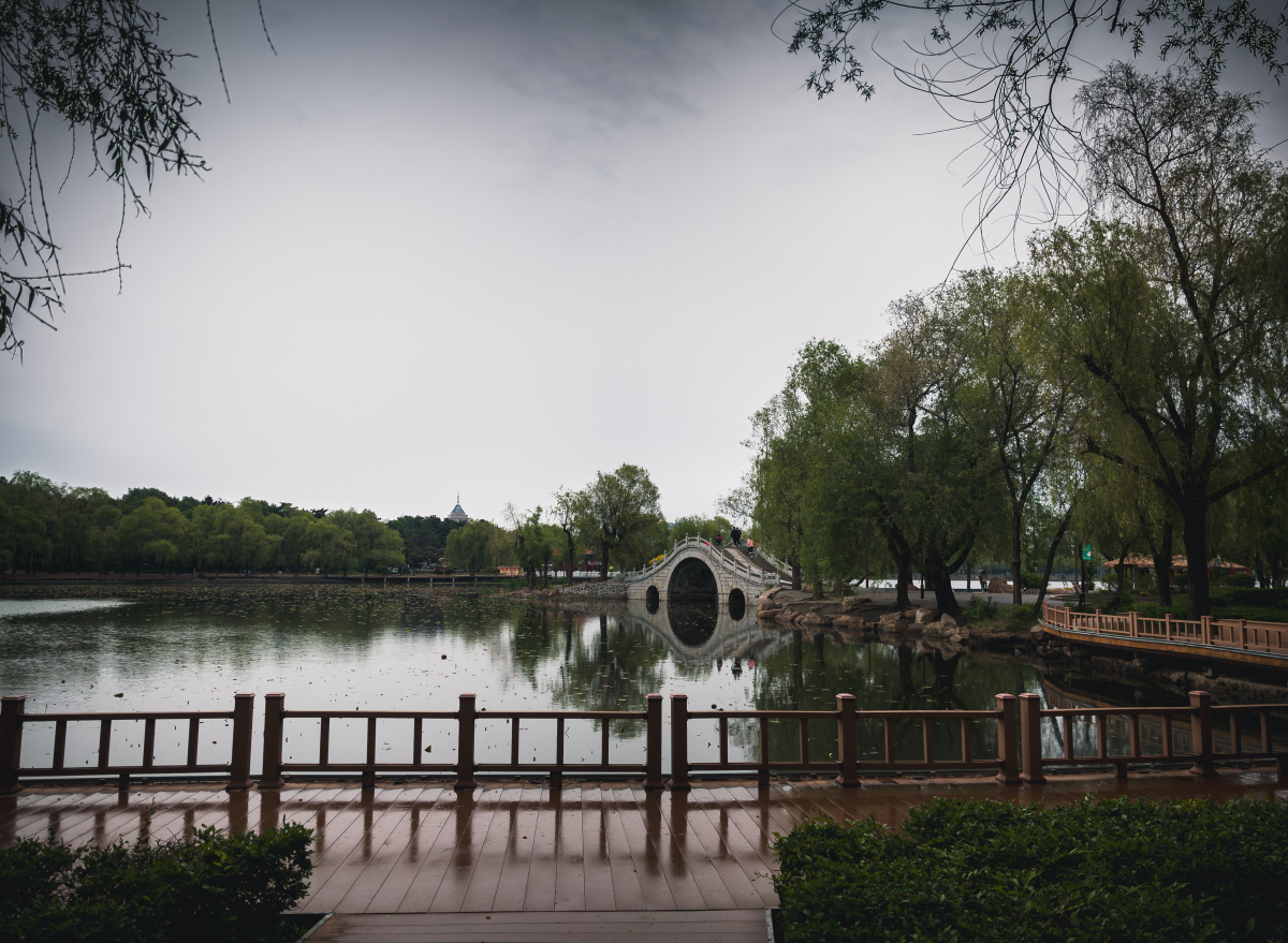 在这片绝美风景中,最吸引我的无疑要数那碧波荡漾,如诗如画般优雅动人