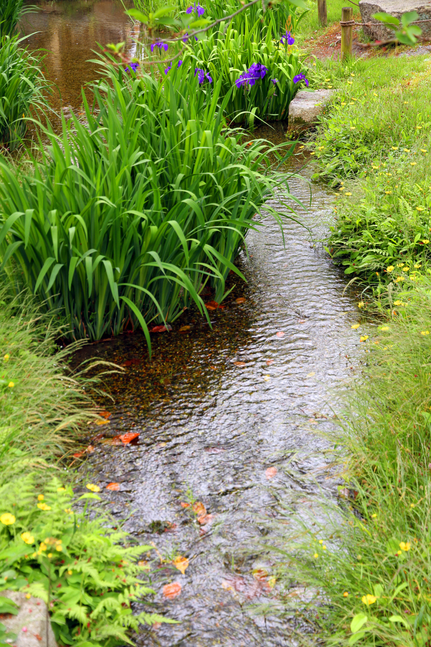 给经历过背叛的人如下几点忠告: ①不要和对感情不