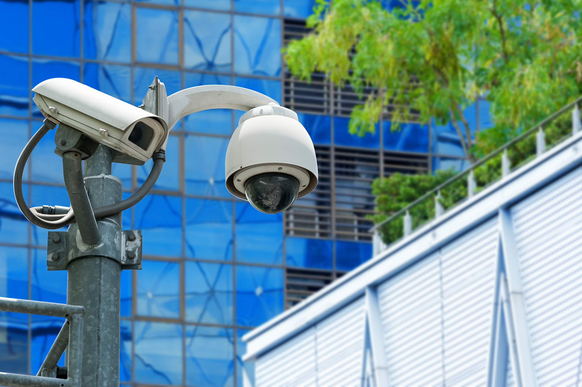 江西省联合调查组调取监控资料等方式调查确认:所谓的鸭脖就是鼠头