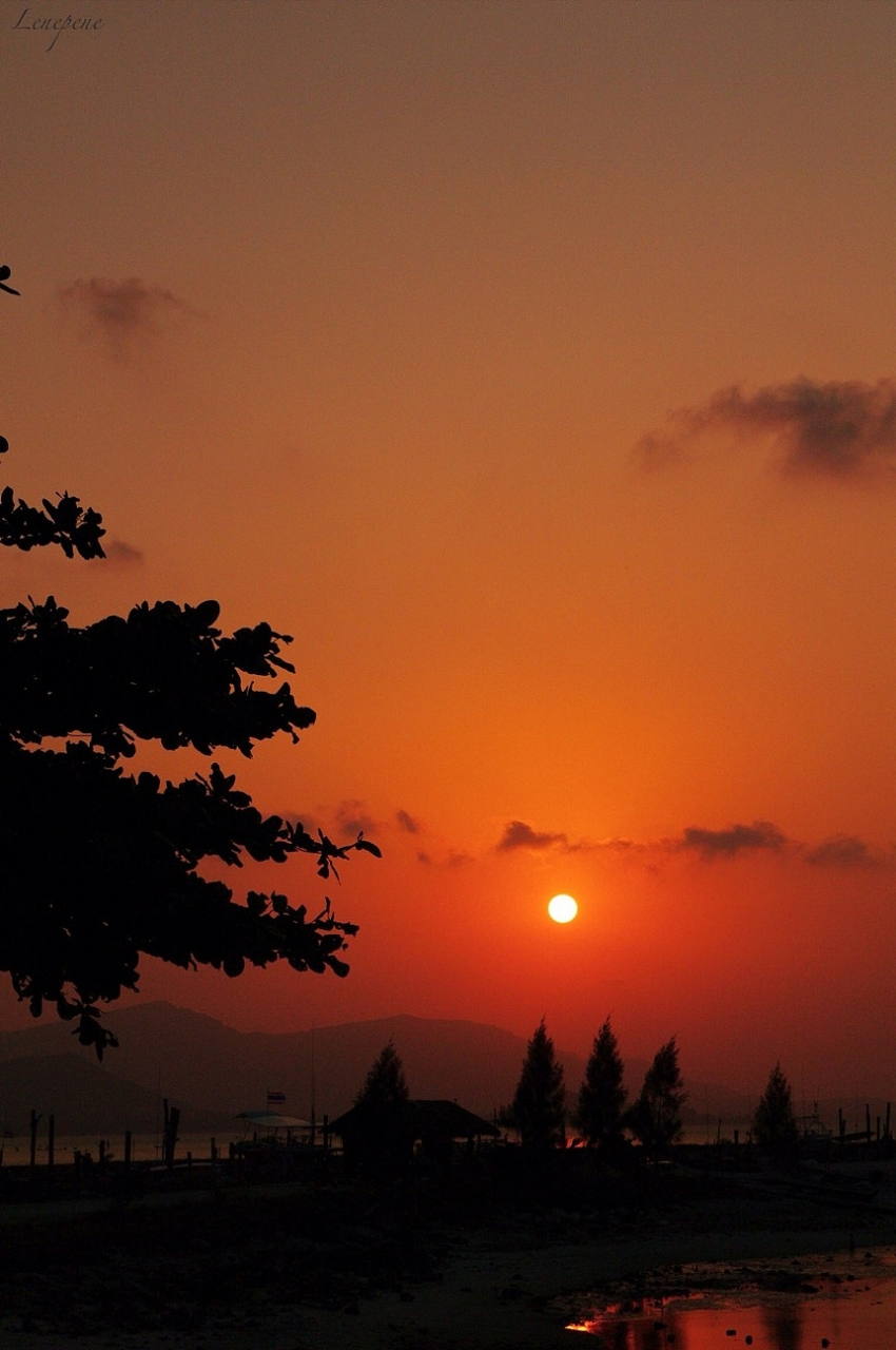 夕阳无限好,只是近黄昏
