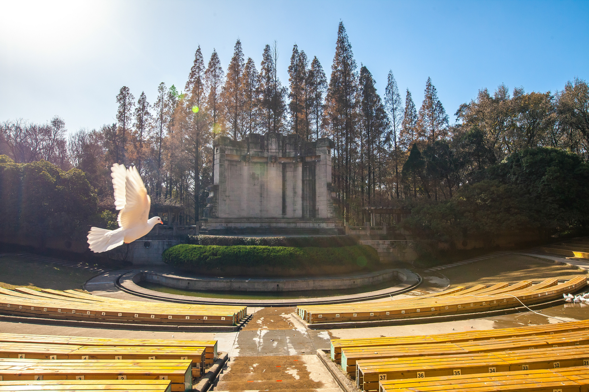 【南京中山陵景点介绍】 南京中山陵:探寻历史与文化的魅力之旅  南京