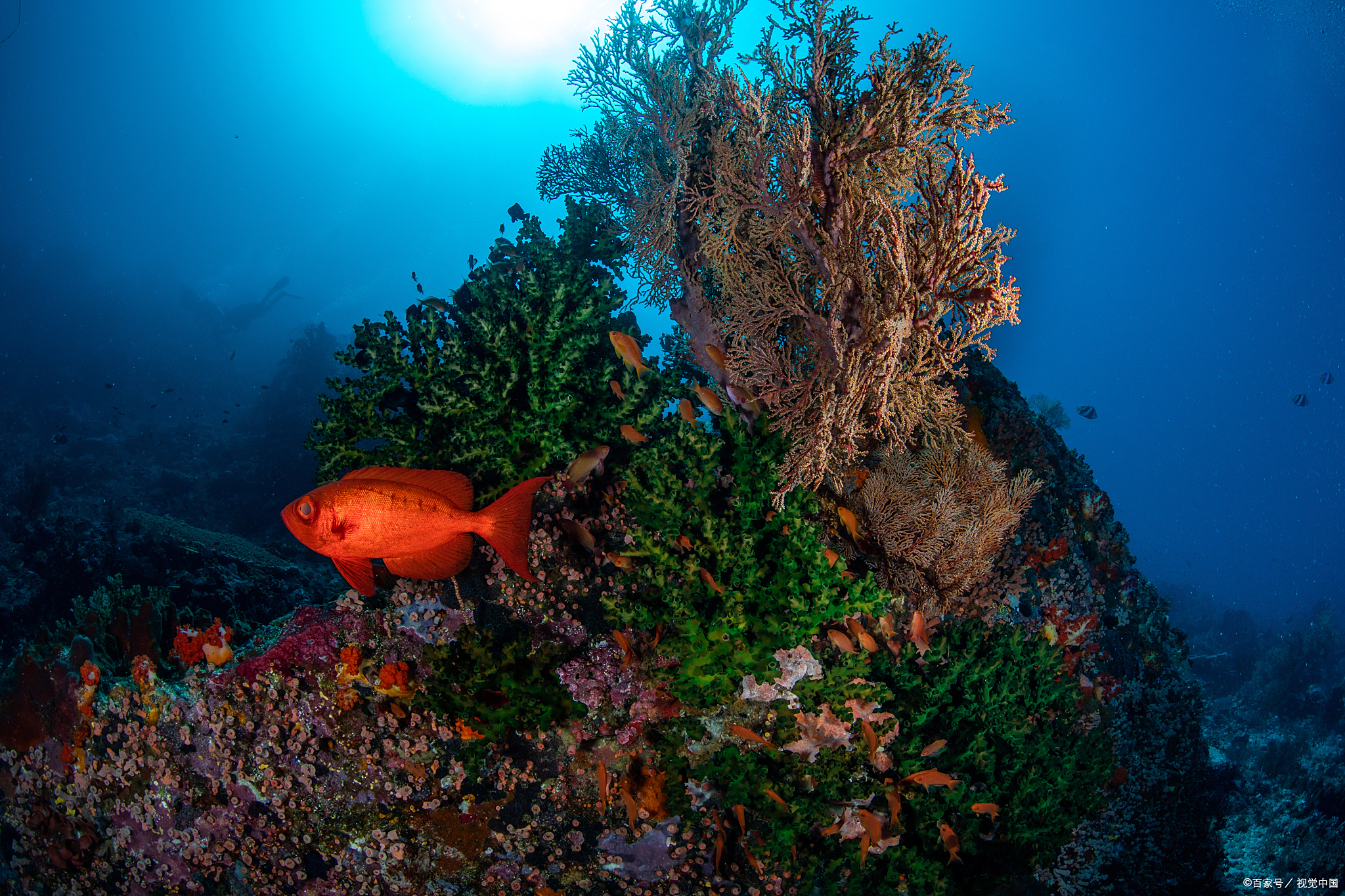 各国旅游秘境之科摩罗篇