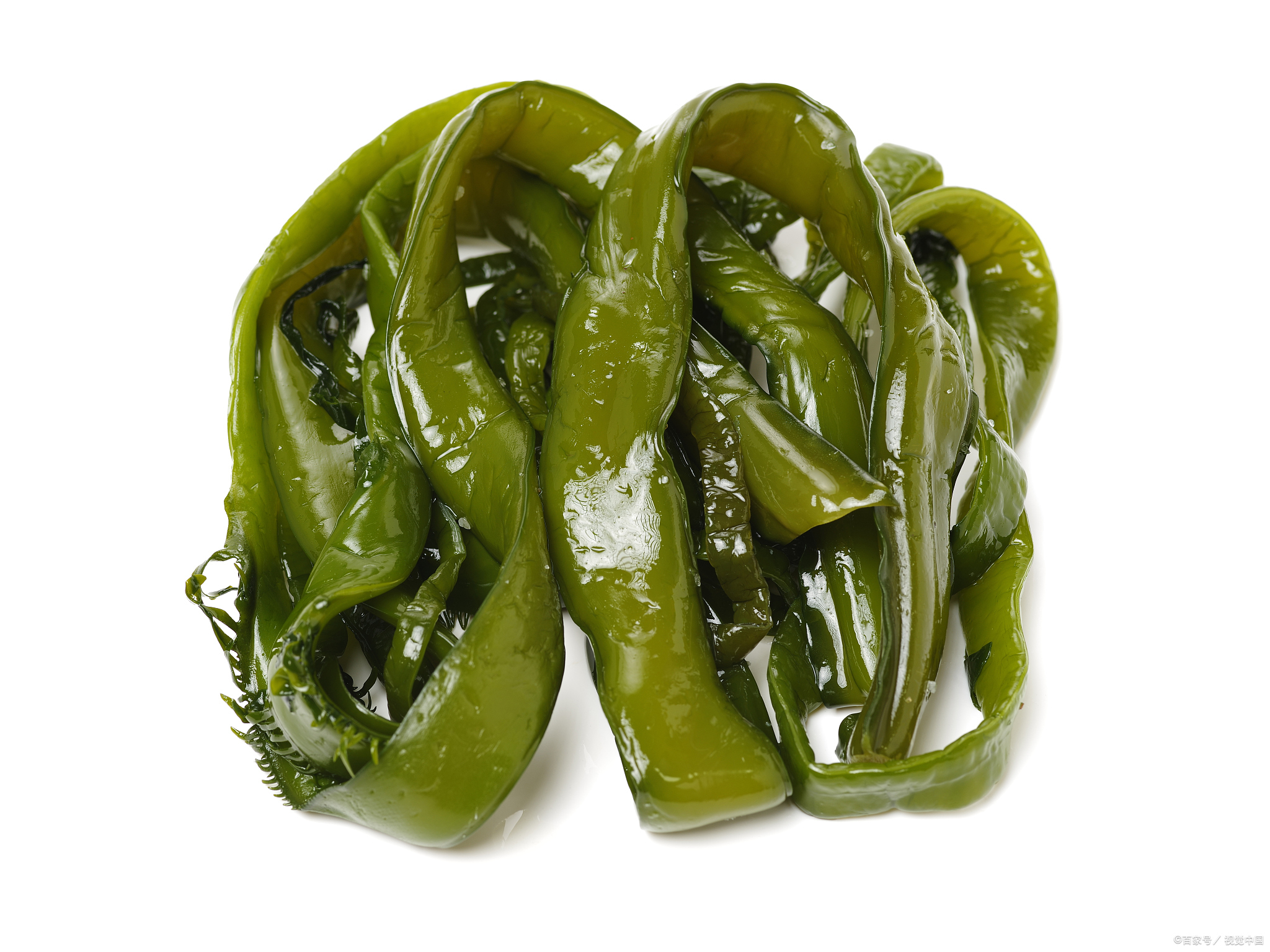 海白菜和海带的区别;一个绿得像翡翠,一个棕得似绸带