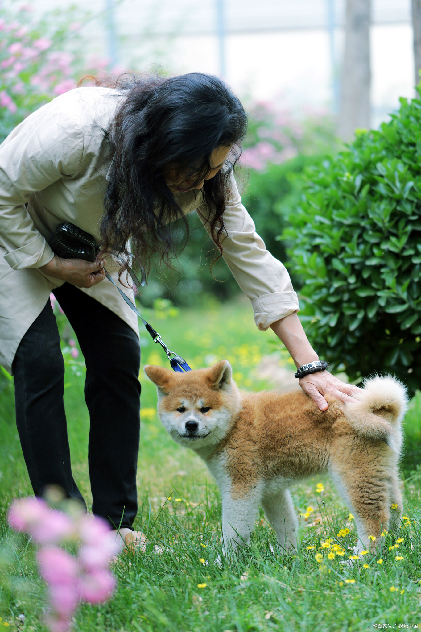养狗的人都说自己的狗不咬人,这话谁信?
