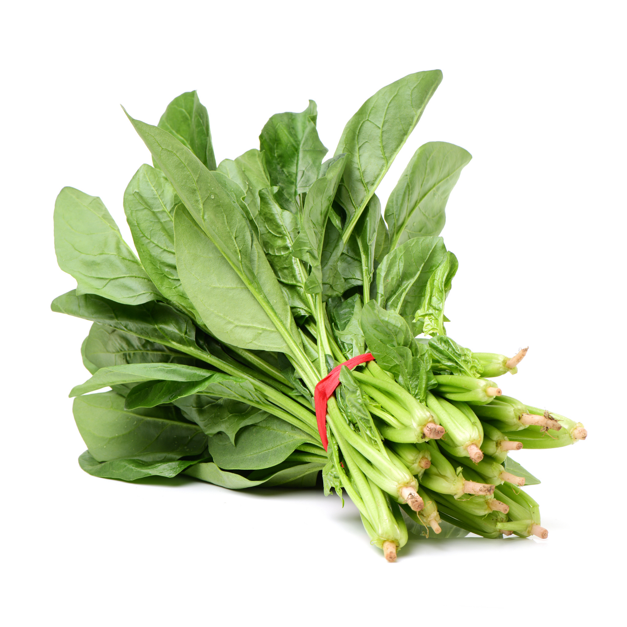 养出星星眼,护眼蔬菜篇(二) 菠菜,不仅富含叶黄素,更是维生素b2和b-胡