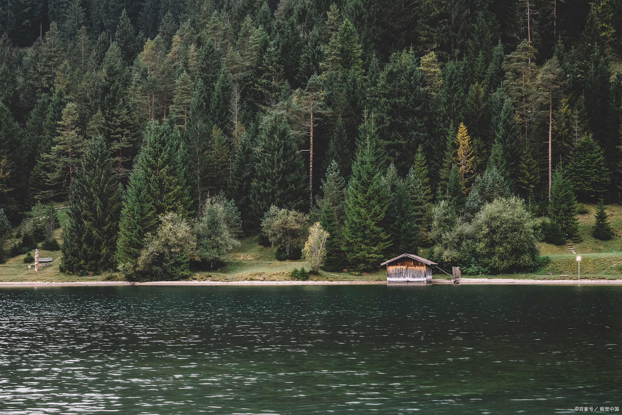 《瓦尔登湖》:心灵的宁静归处与生活的深度探寻