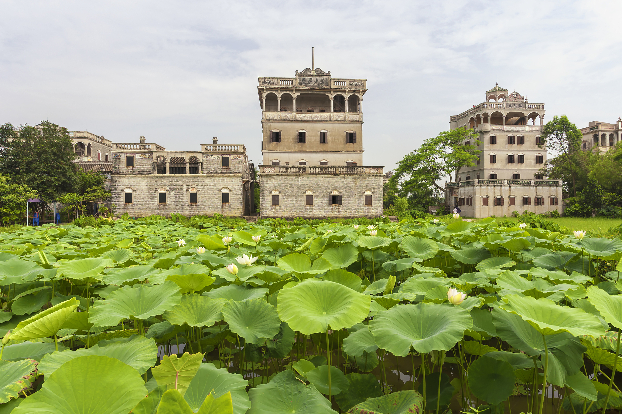 江门免费景点图片