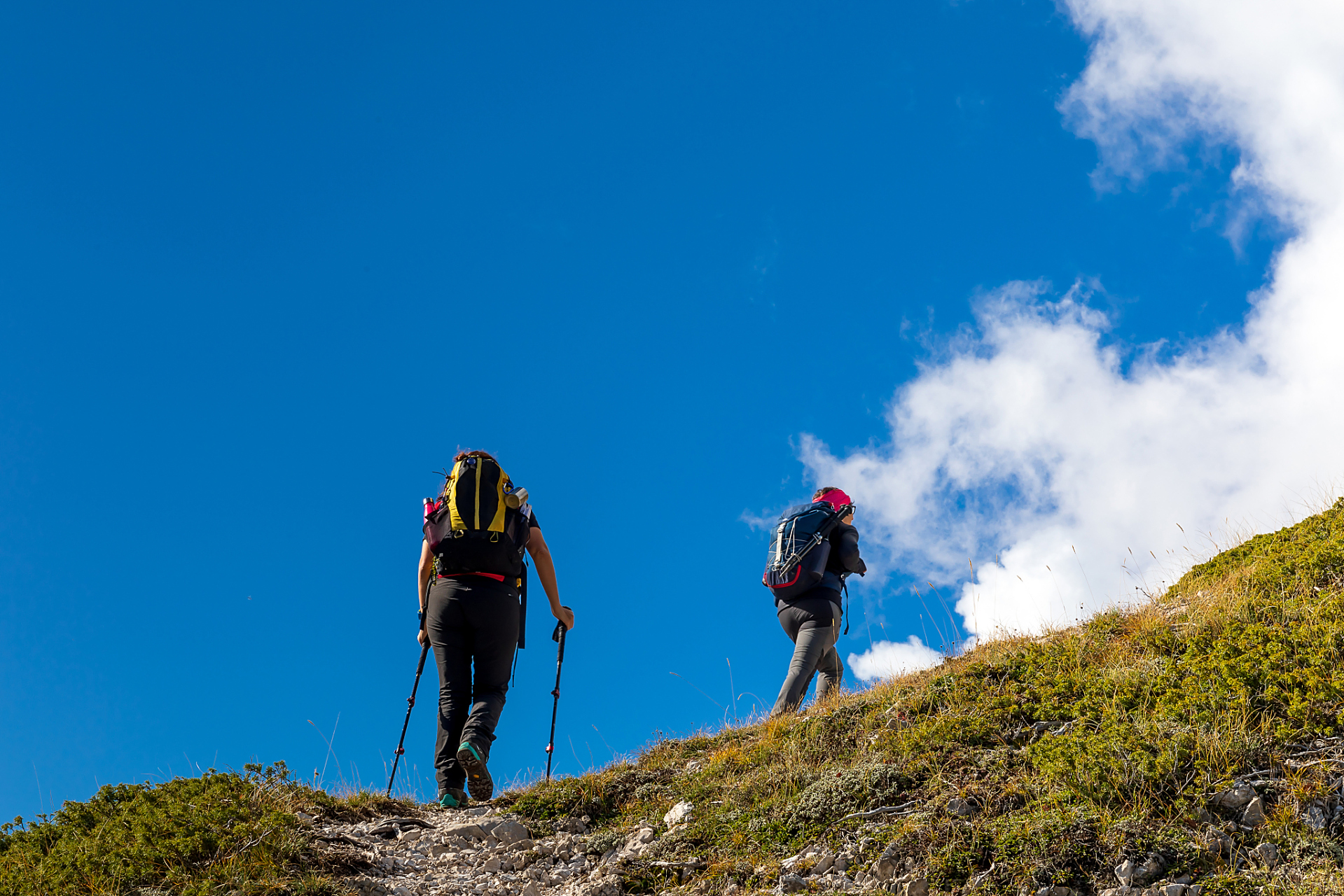 女同事去登山,登到一处无人之地时,她表示太热需要休息片刻,接着便