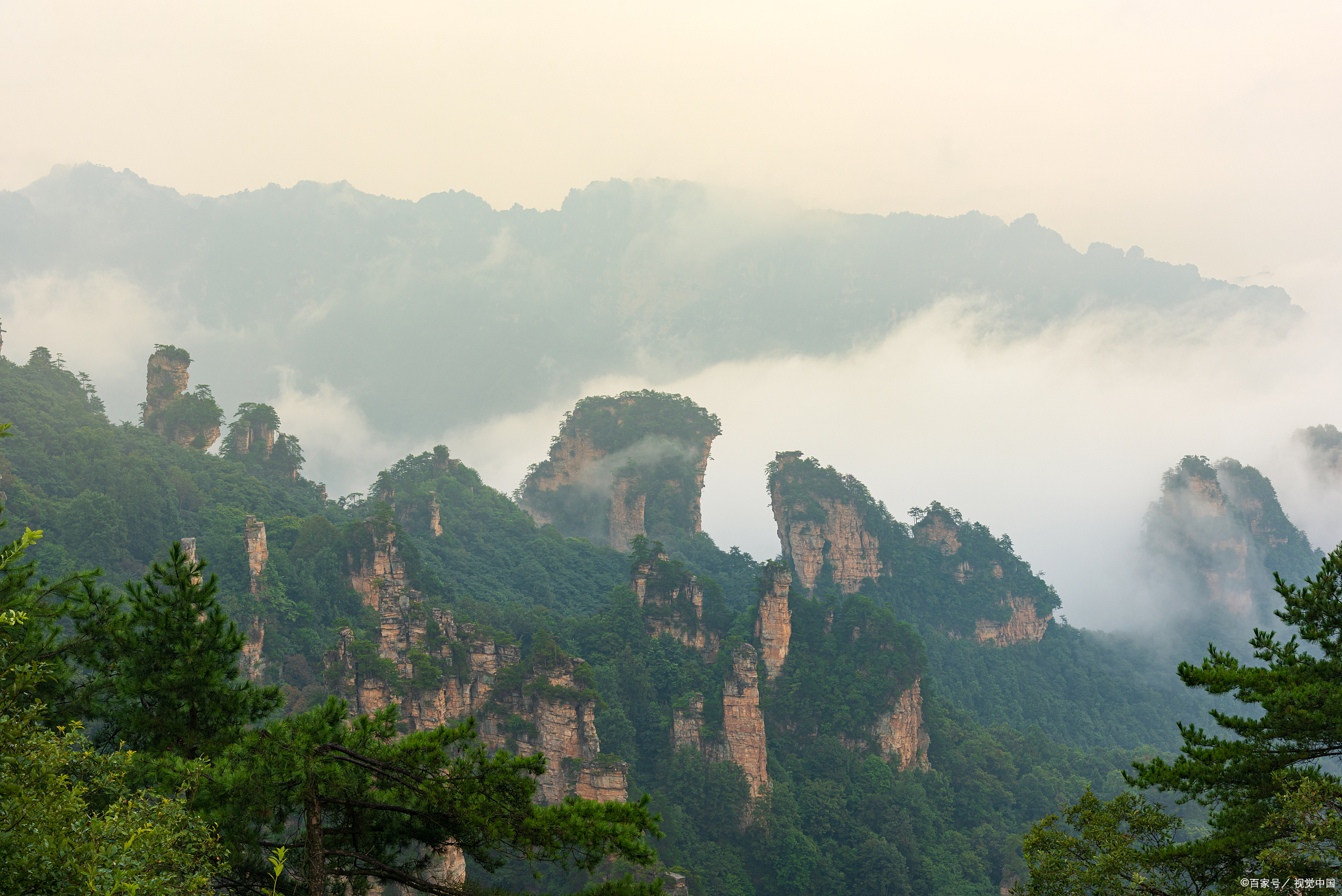 广州莽山五指峰景区图片