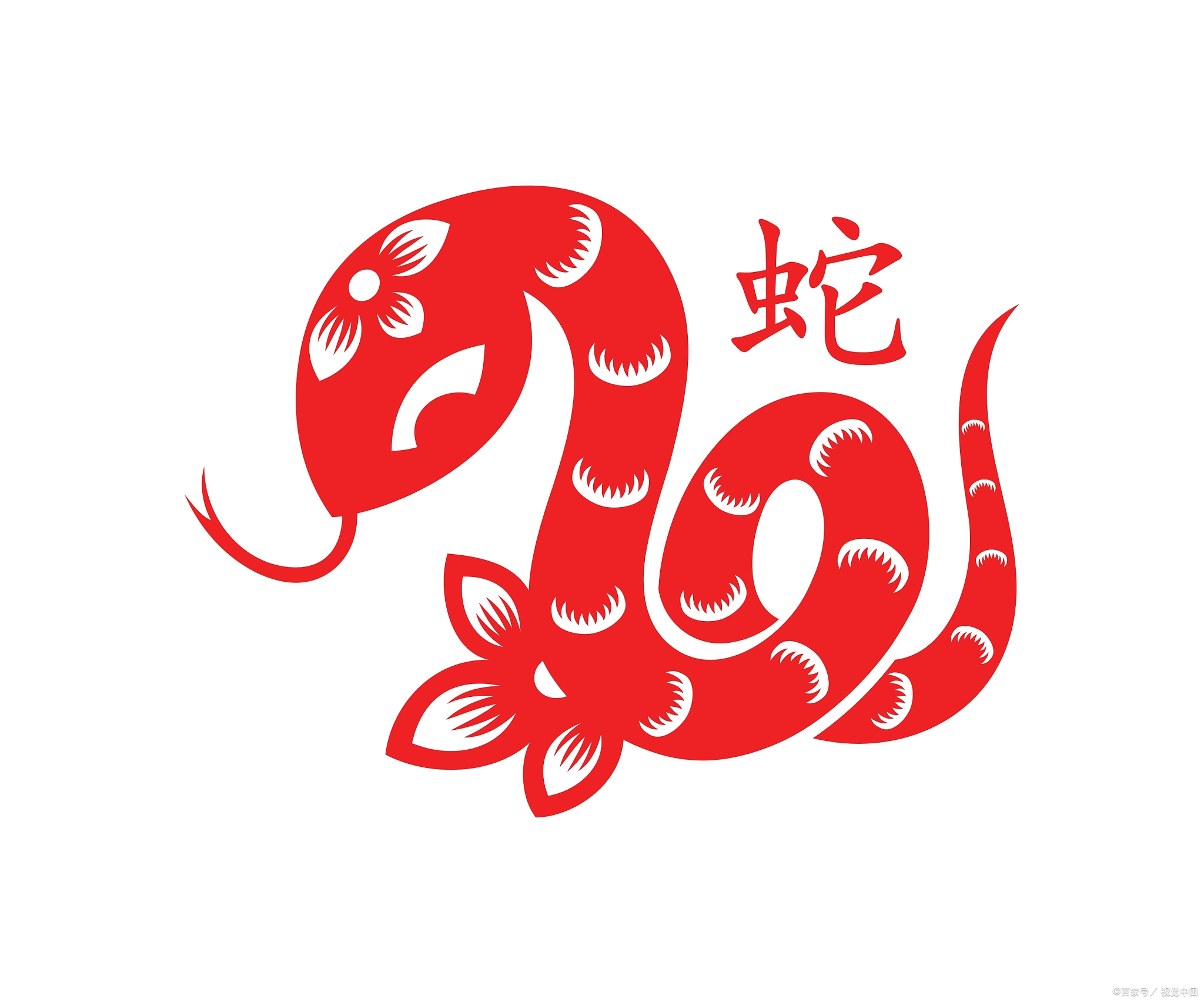 12月8日生肖蛇运势怎样(个人12月8日运势查询)