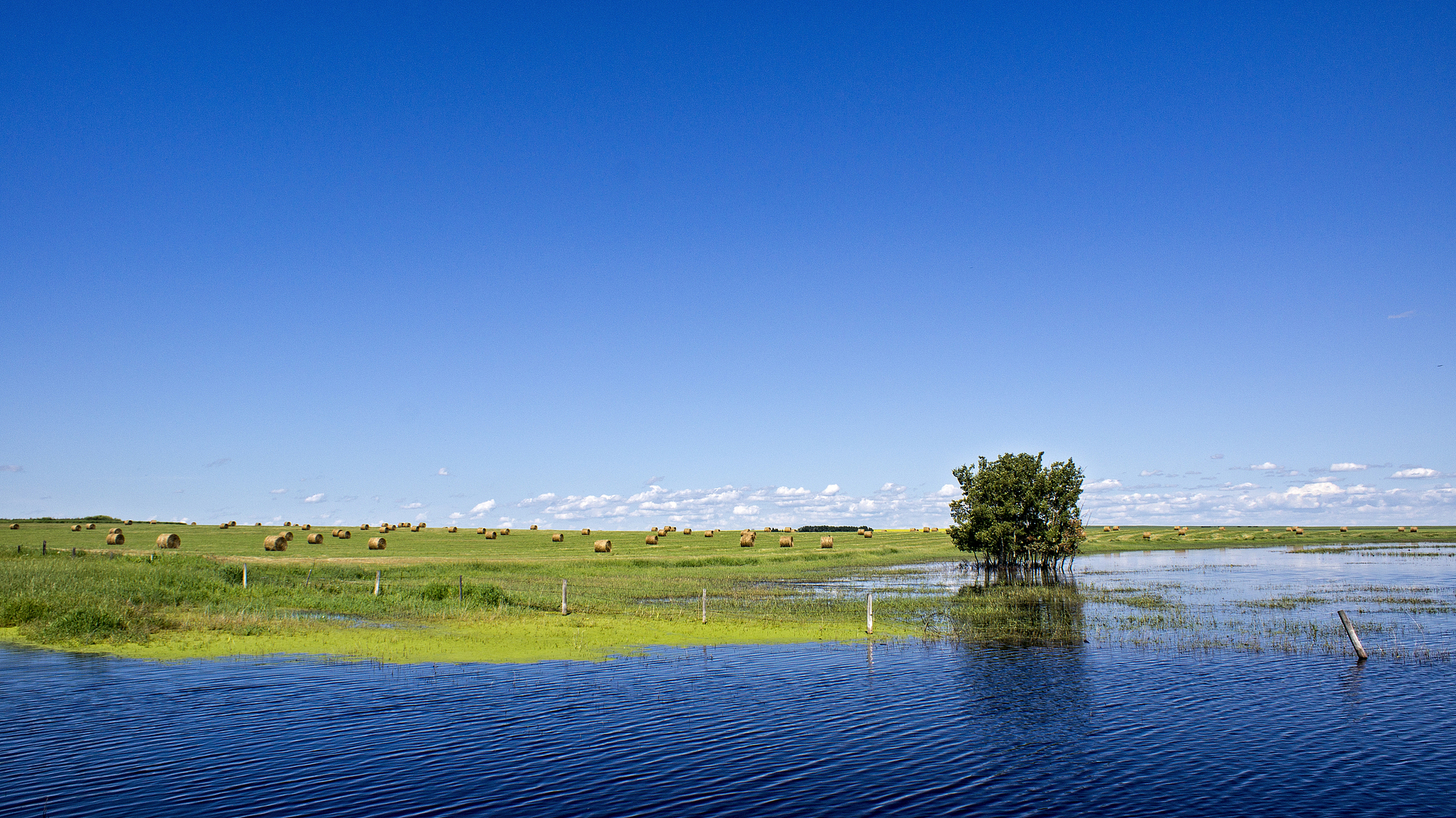 多伦湖旅游区位于内蒙古自治区锡林郭勒盟多伦县大河口乡,拥有2万亩的