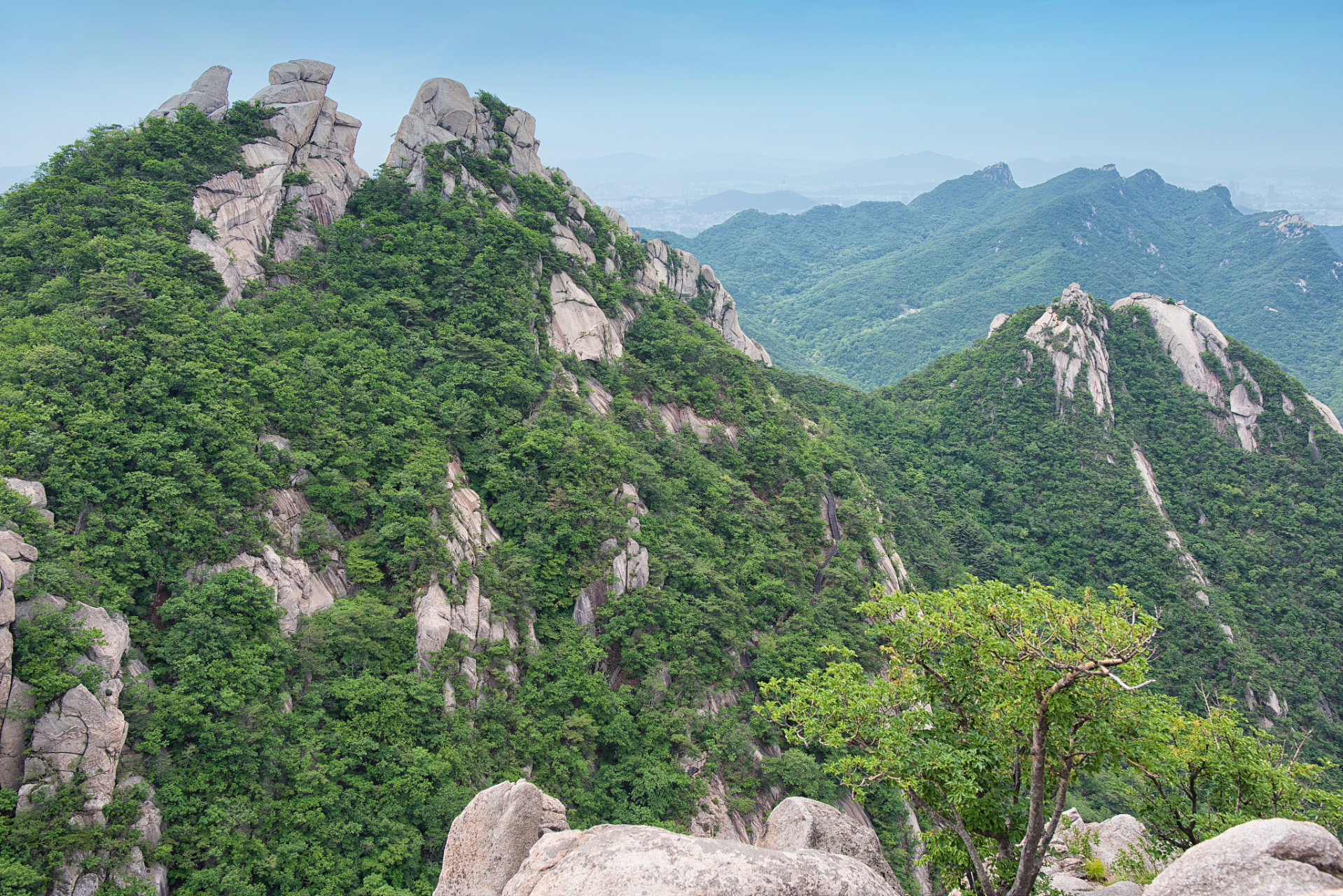 黄岛大珠山图片