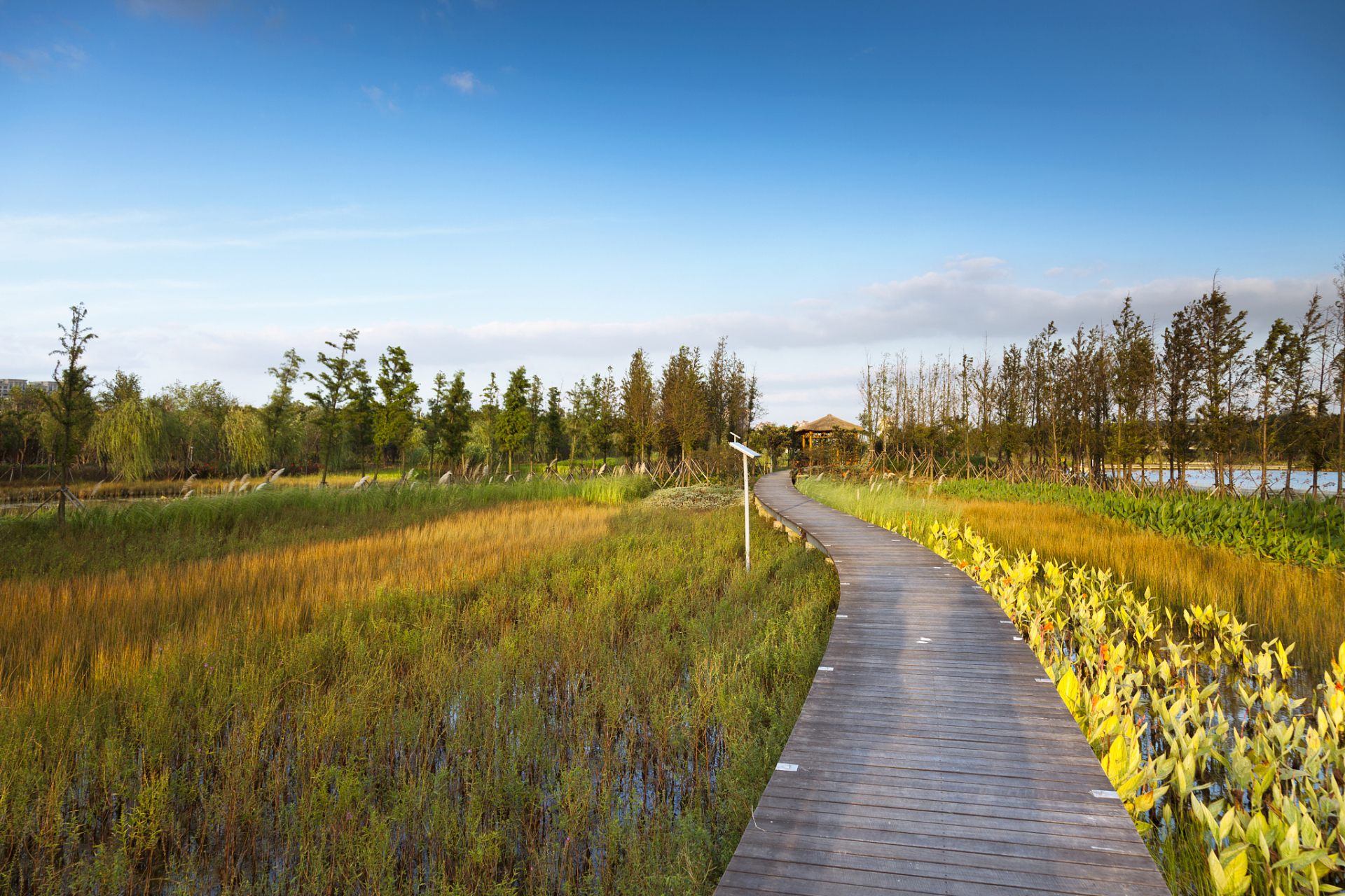 欢迎来到上海长兴岛郊野公园,这里是原生态的代名词,是上海市民的后