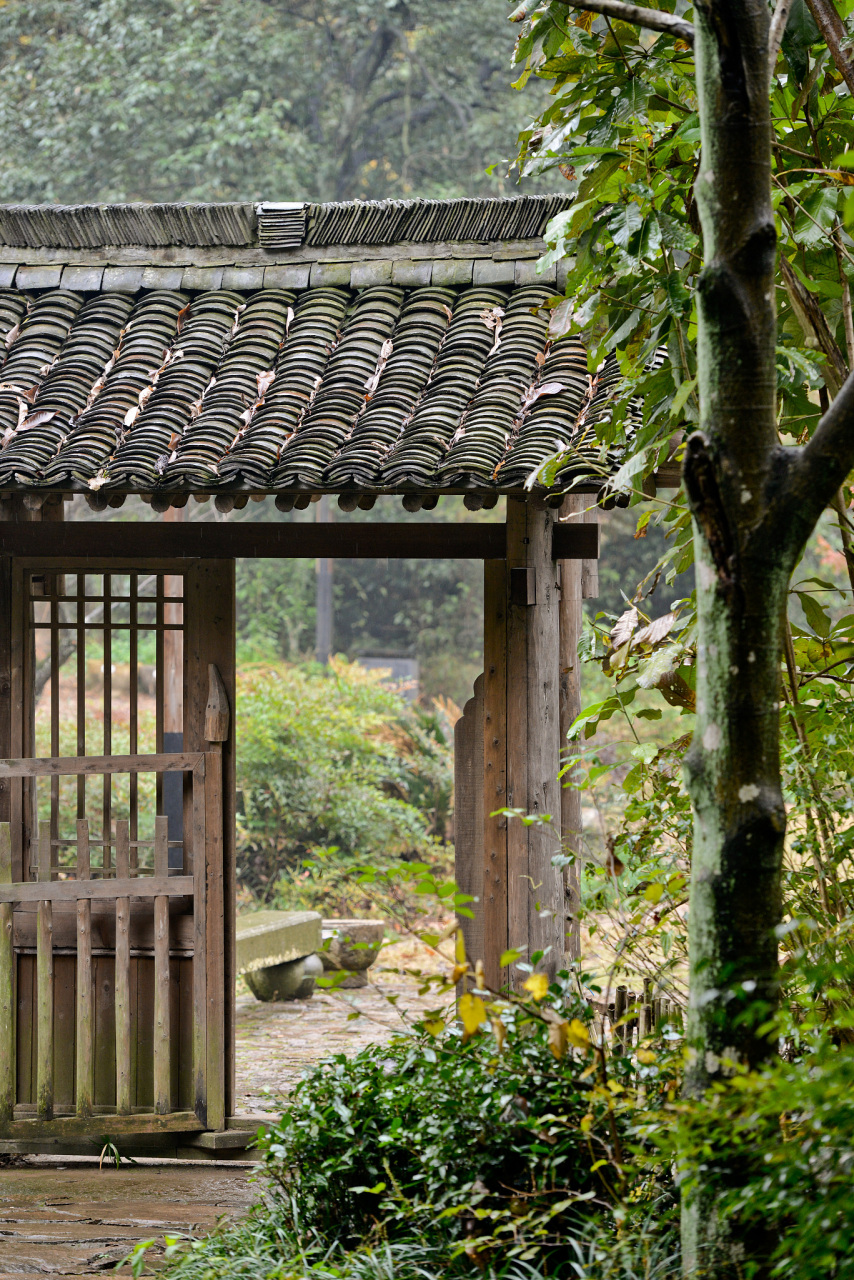 854_1280竖版 竖屏gif 动态图 动图