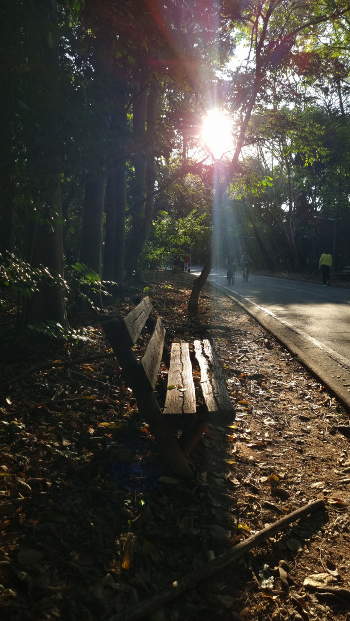我站在路灯下,有两个影子,一个是我的,另一个也是我的.