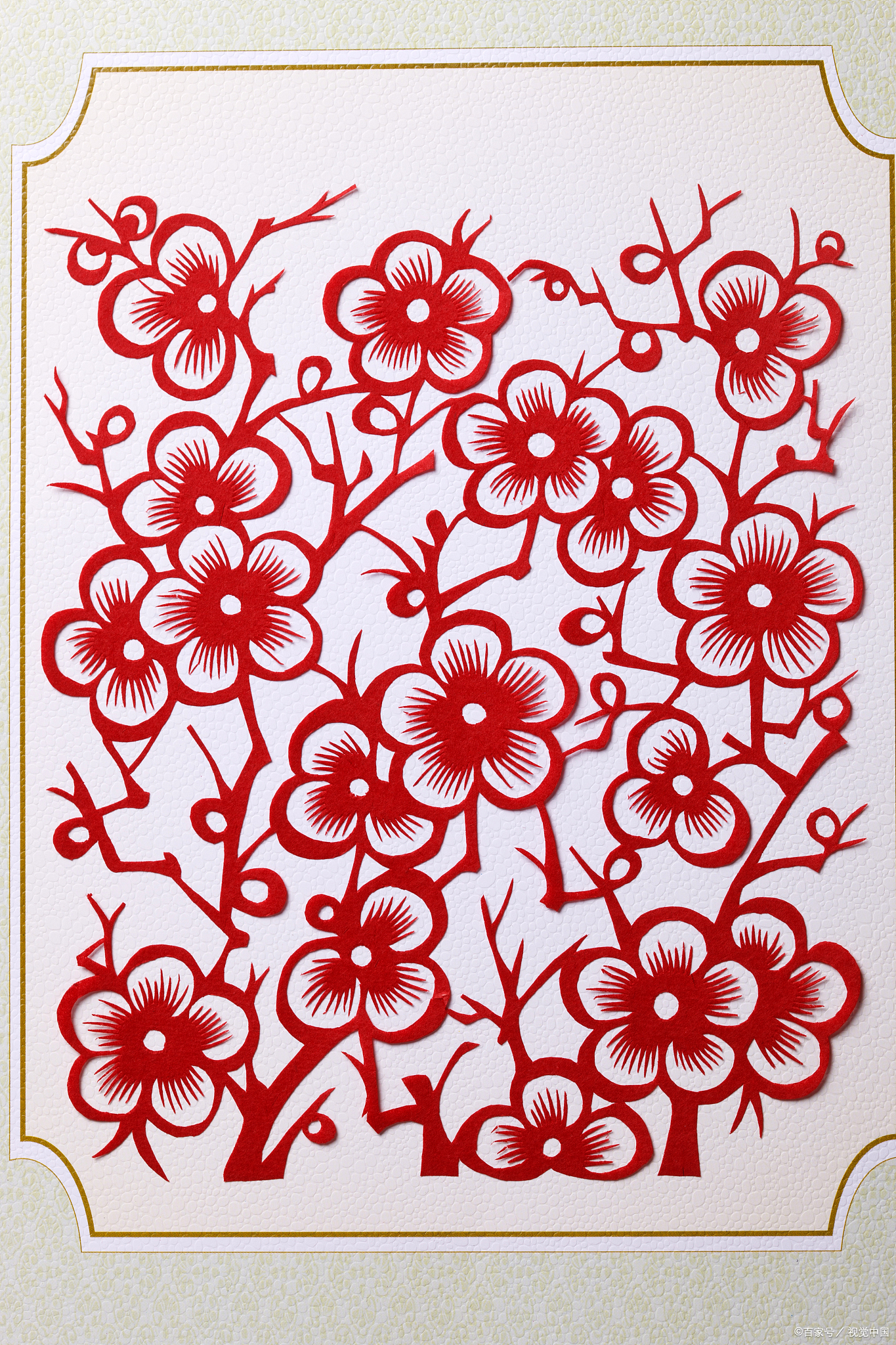 别担心,让我带你一步步走进春花剪纸的世界! 首先,你可能会问