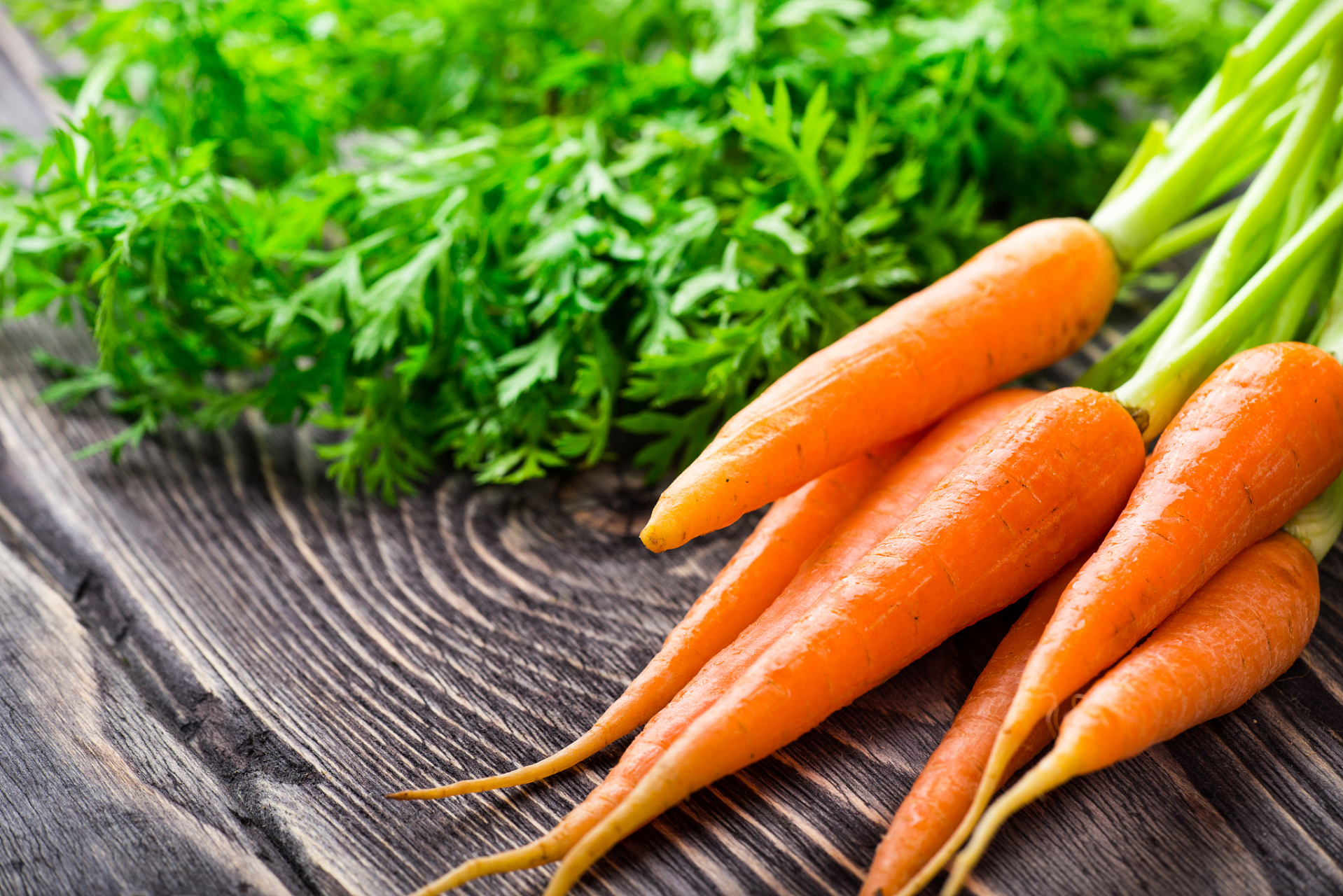 胡萝卜含有丰富的胡萝卜素,胡萝卜素经人体消化吸收后会转化为维生素a