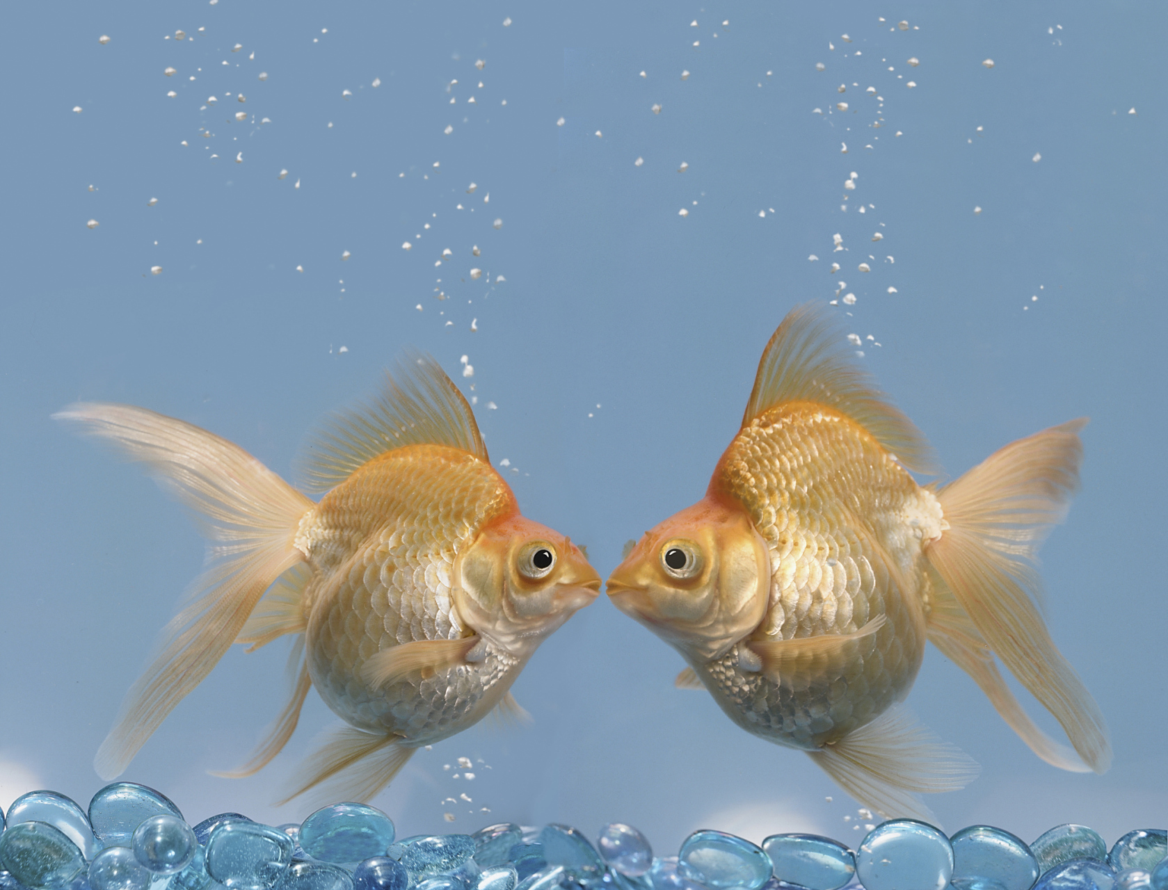 "相濡以沫,不如相忘于江湖".