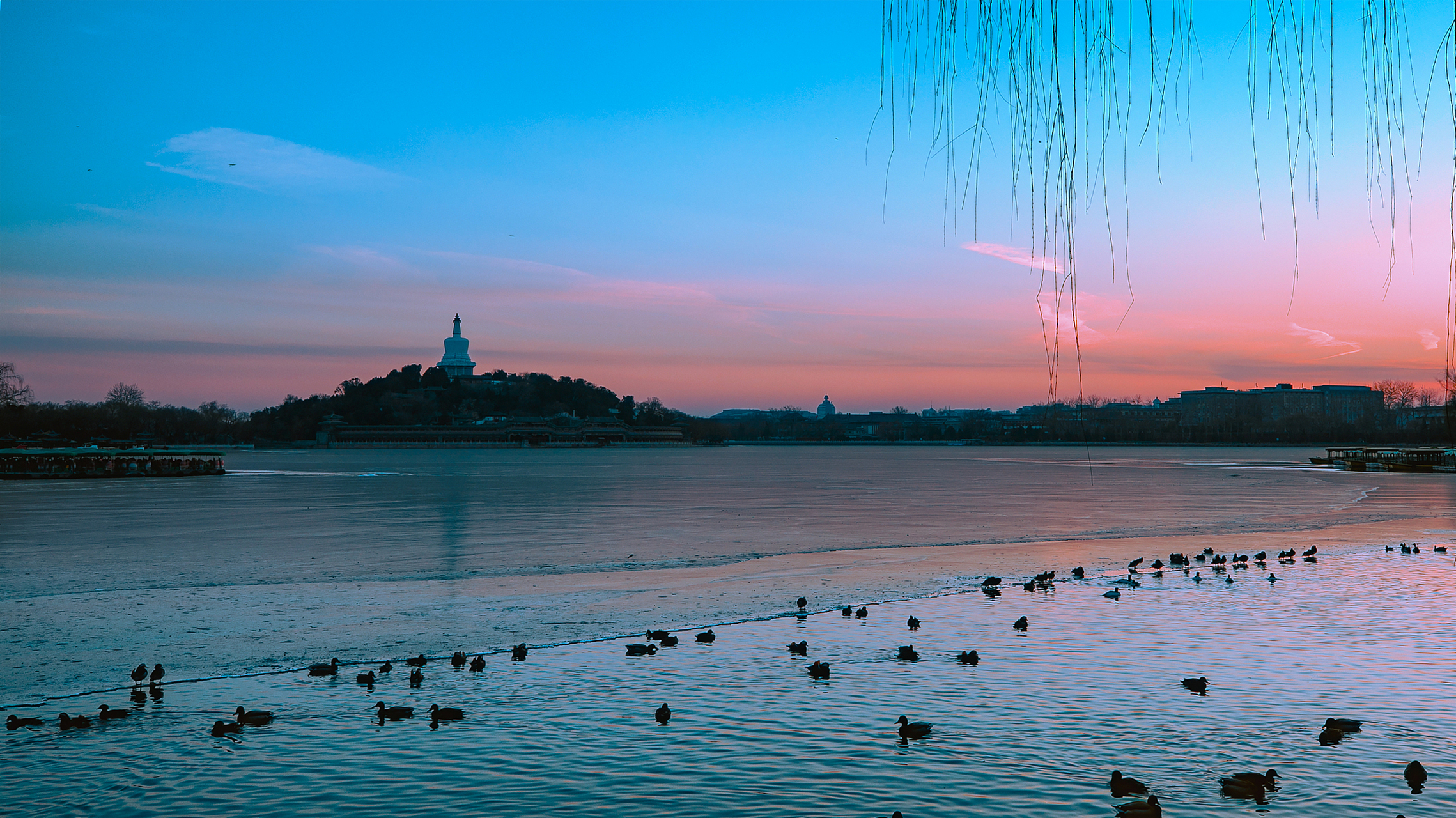 今年78岁的张祖新是邻居眼中的"花花公子",现如今的他,拥有着一位比