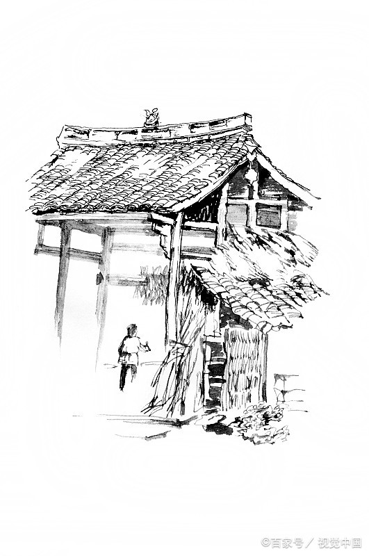 素描入门指南:线条练习 光影表现 静物塑造