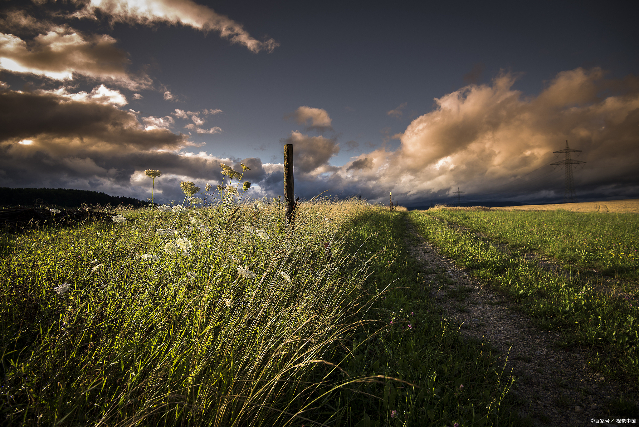 四个领导驾驭下属的心理操纵.@人生智慧全解读的动态