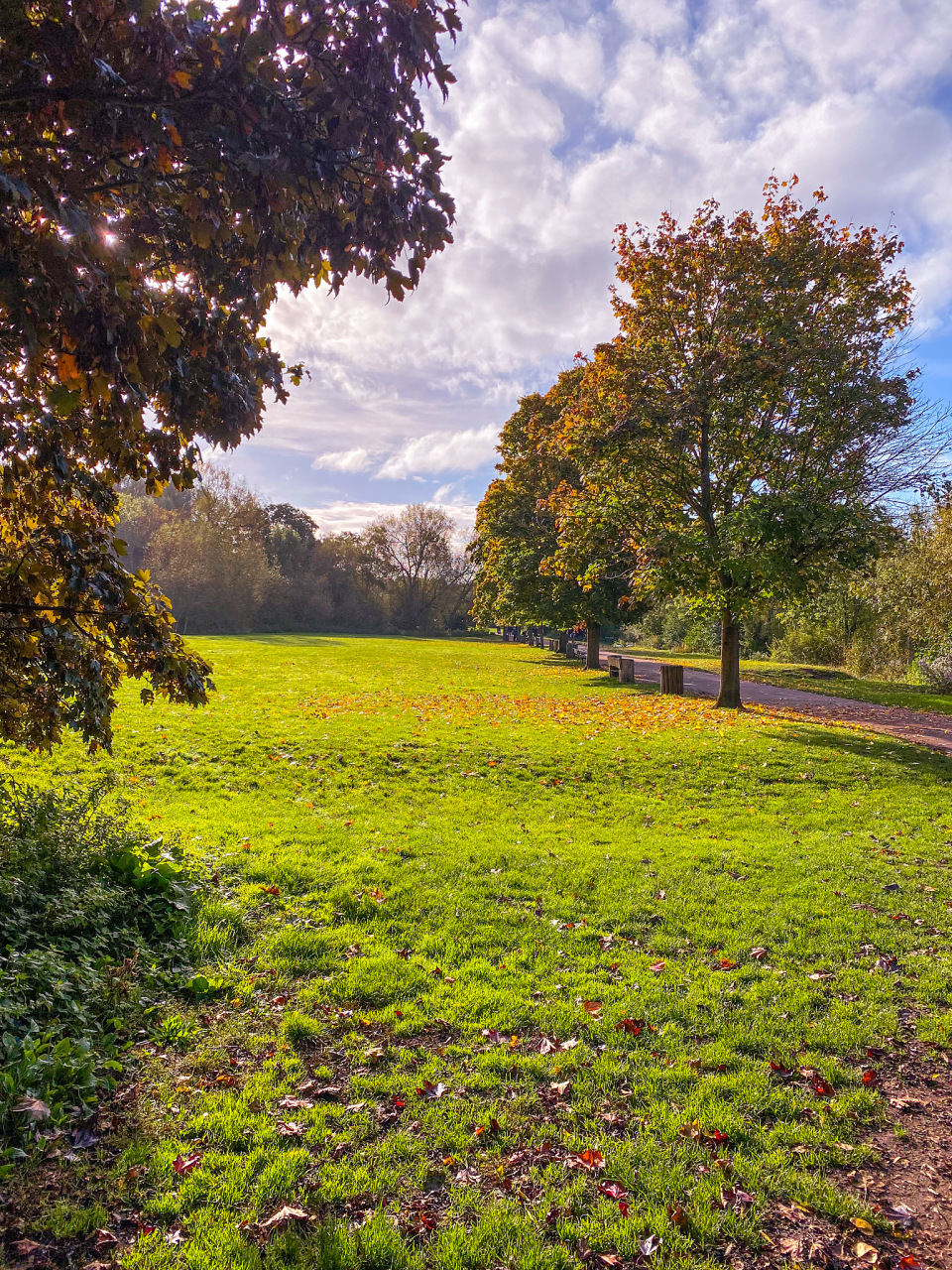 有时候,当我们透过镜头观察世界的时候,我们并不仅仅看到画面中的景物