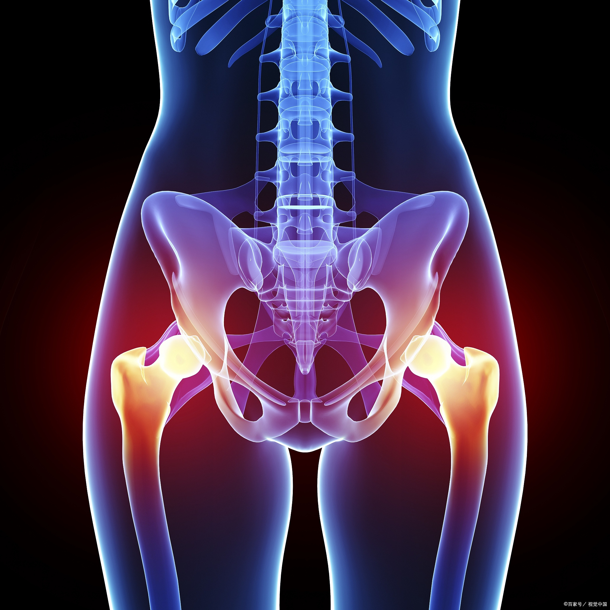 首先,我得说,大胯骨疼可骨盆骨盆图片盆骨女性骨盆盆骨图片女性硅盆