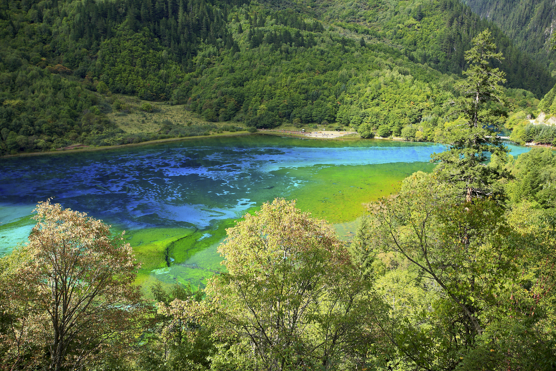 九寨沟以湖泊,瀑布和多彩的海子闻名,黄龙以高山草甸,雄奇的地貌吸引