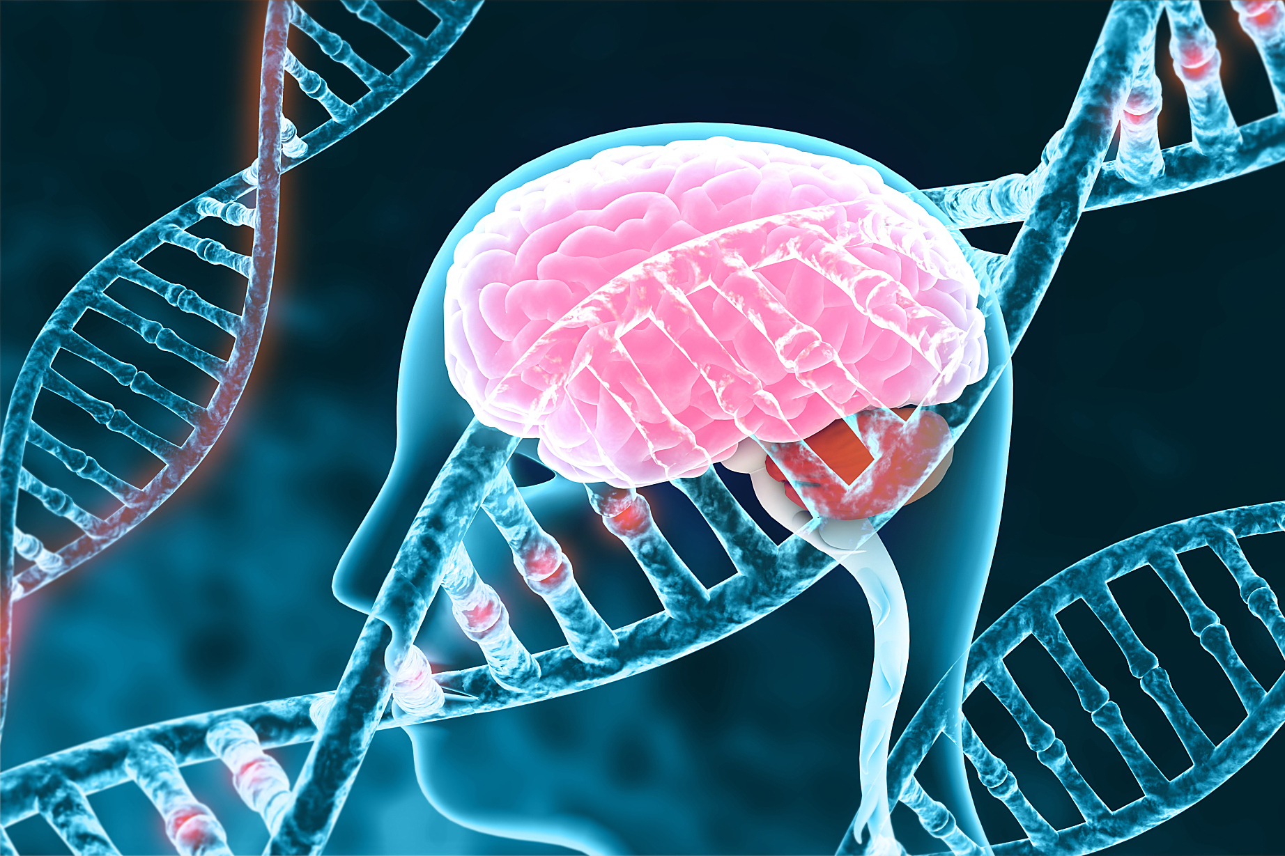 特色体育课设计让学生每周跑1600米,通过课余骑健身