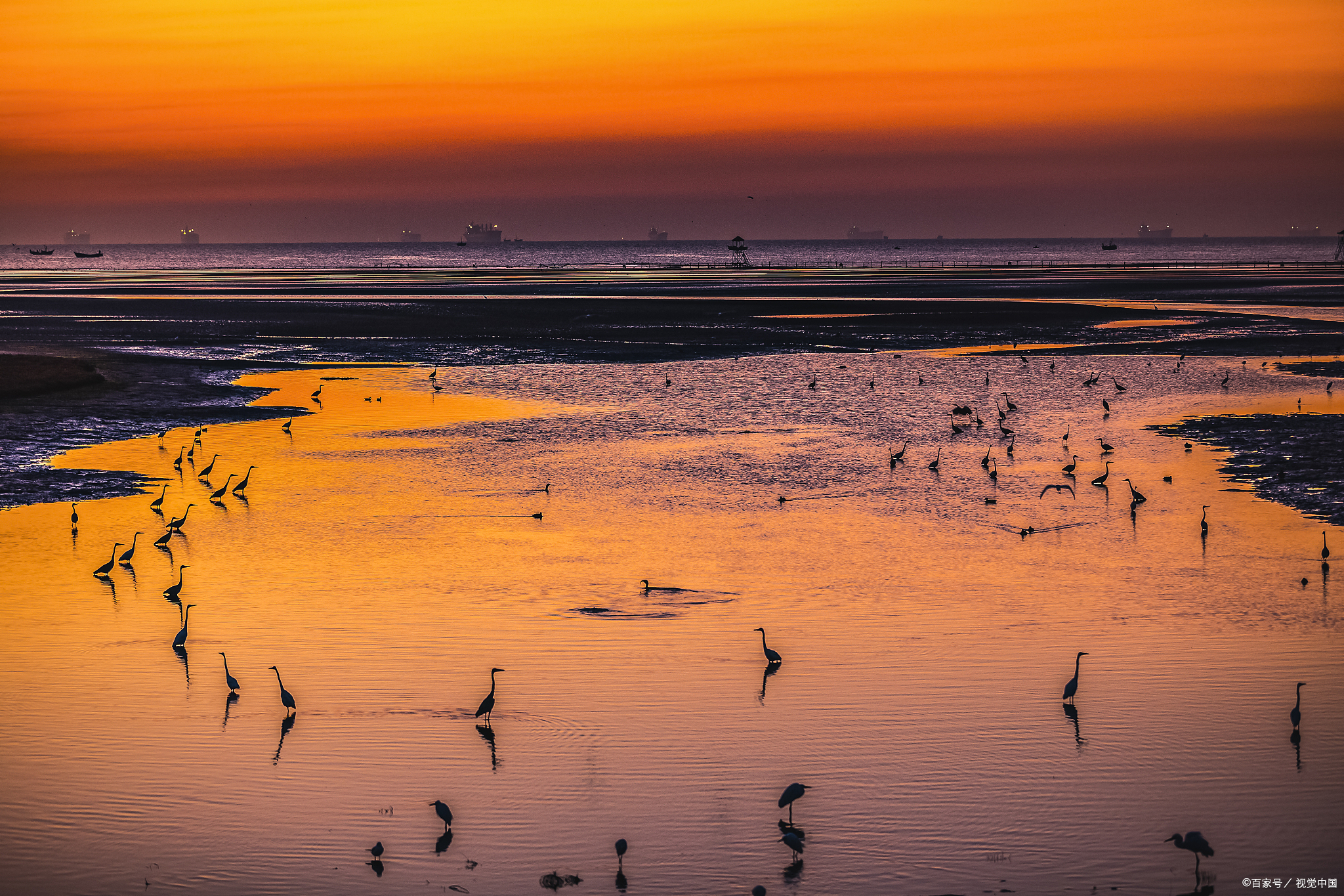 莆田市湄洲湾北岸休闲新去处,紫玉湖湿地公园