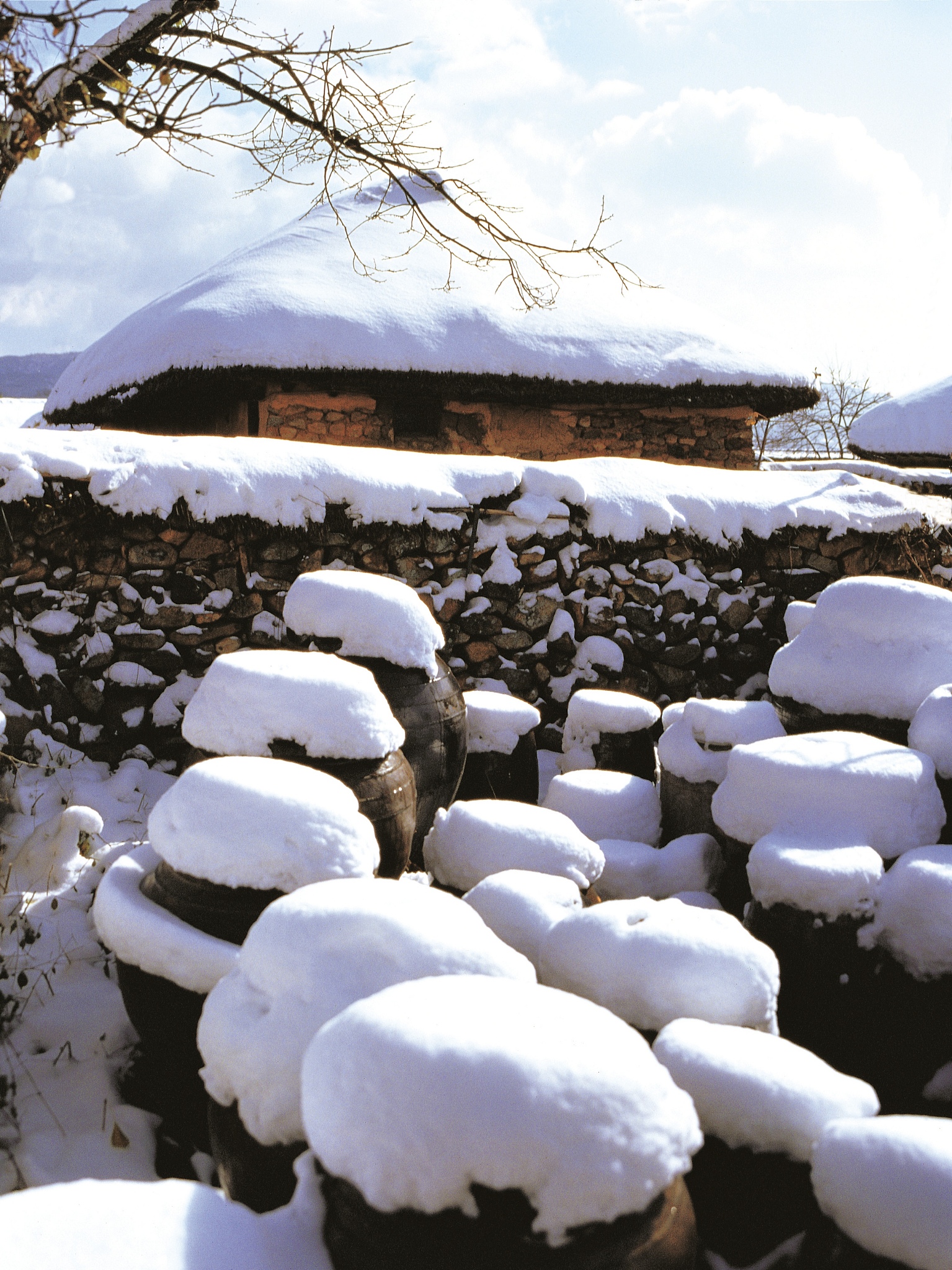 北方下雪图片真实图片