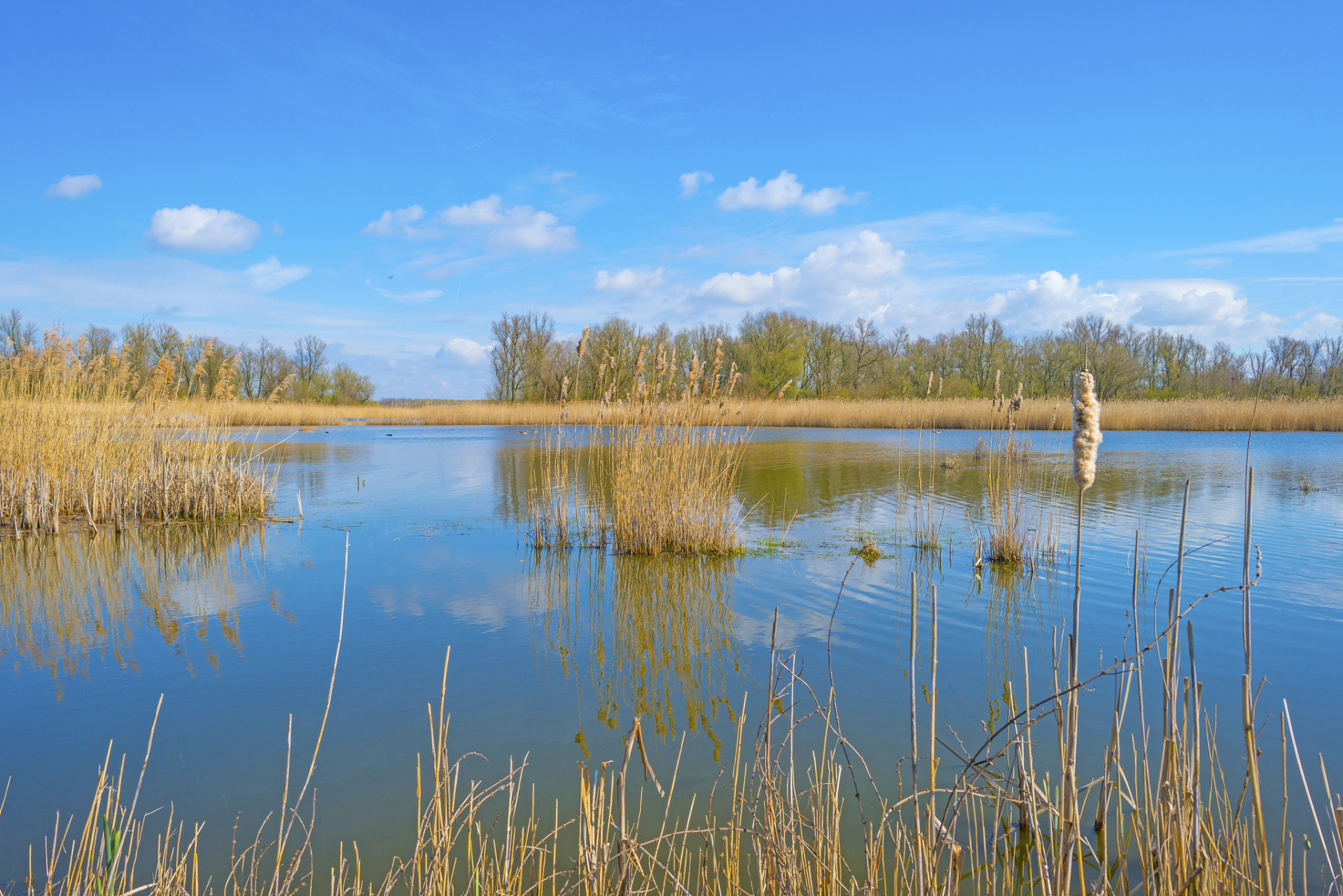 叫《我在纳林湖等着你》: "天蓝蓝,草绿绿 我在纳林湖等着你 这里的