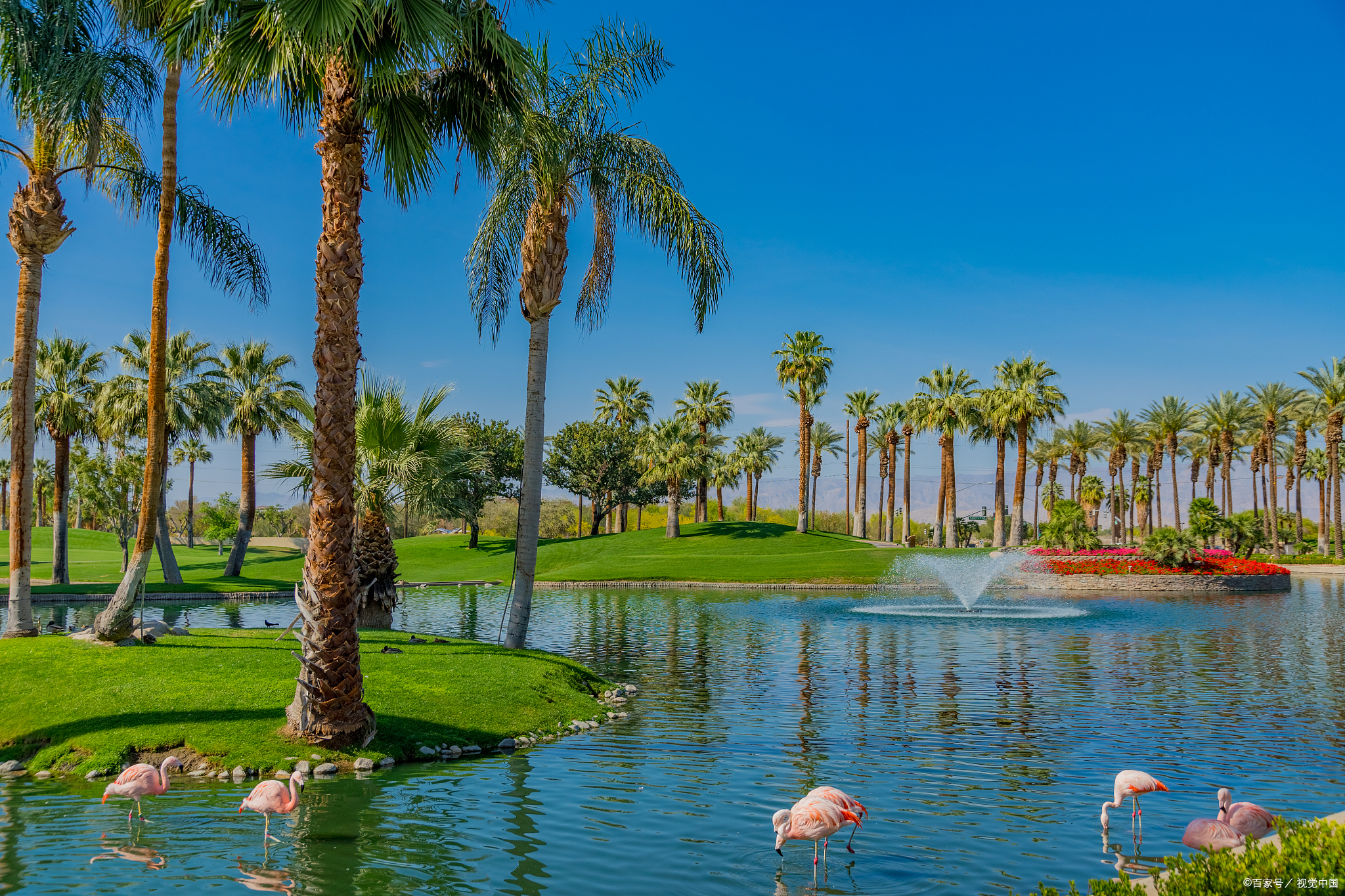 海南澄迈的盈滨半岛比雷公岛更值得一去,除了温泉休闲活动也很多