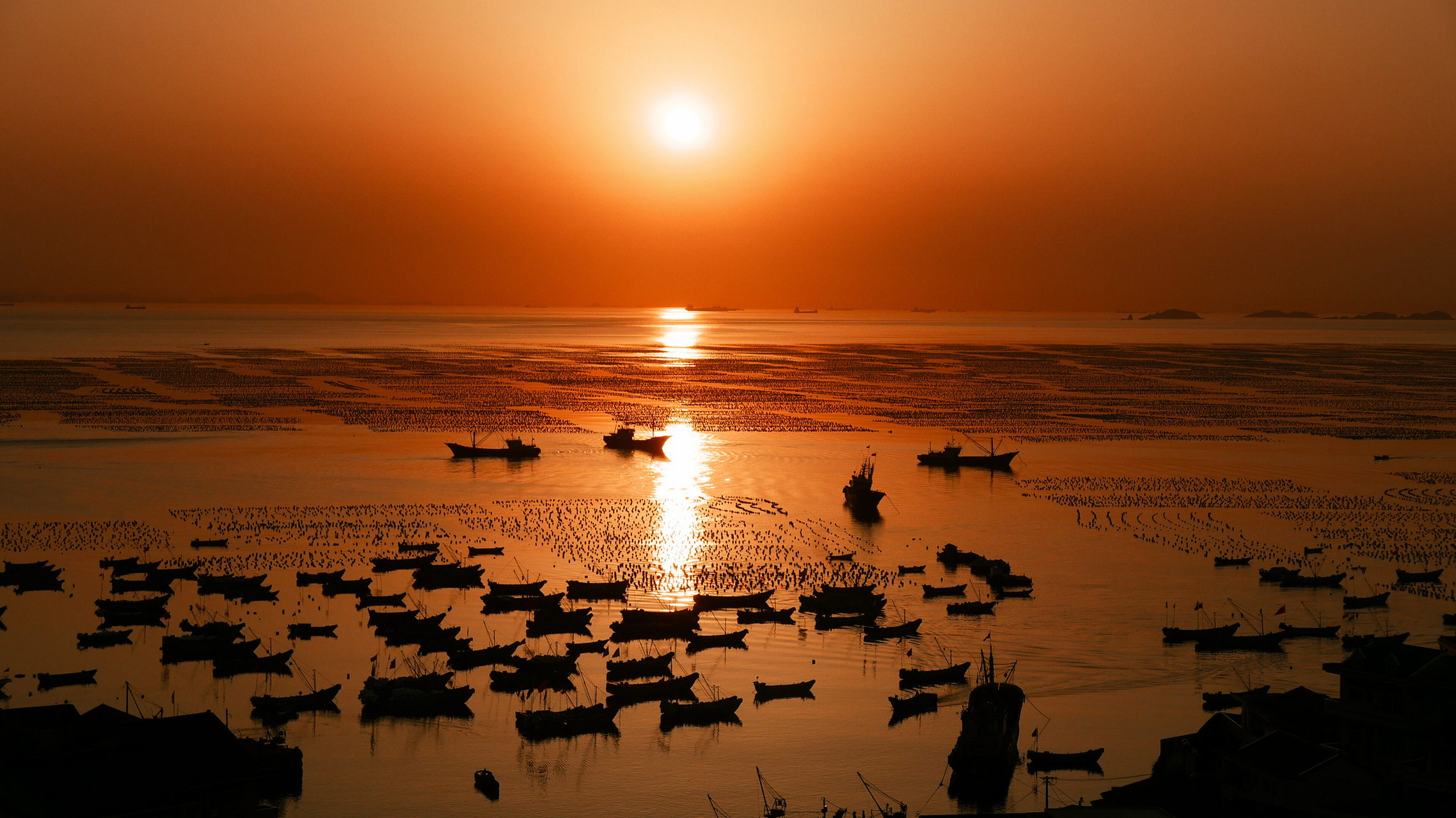 镜头里的春天# 春季旅游金海湾红树林随着太阳的缓缓下沉,天空的颜色