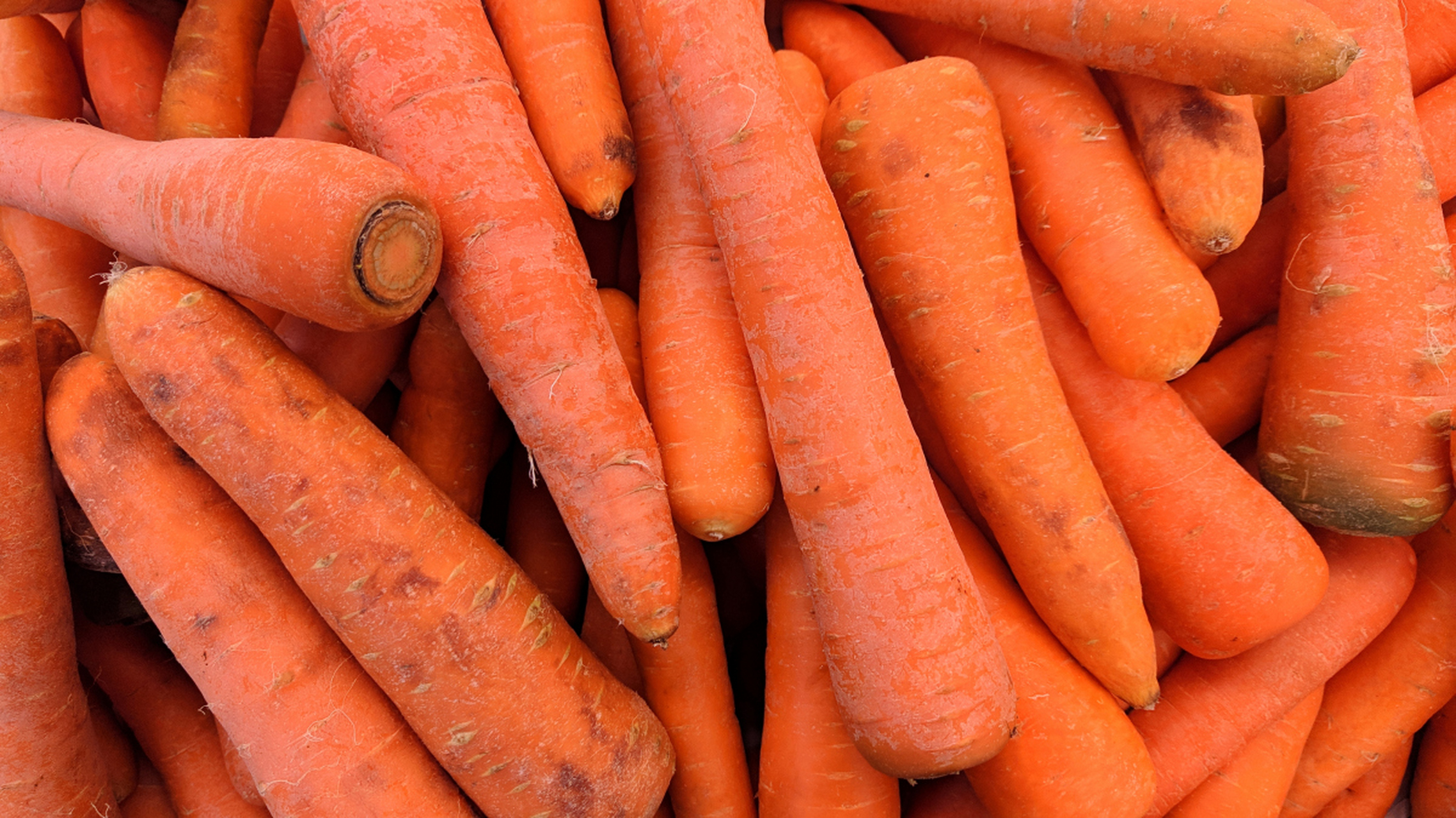 胡萝卜是我们平时餐桌上常见的食品之一,具有丰富的营养价值,尤其是