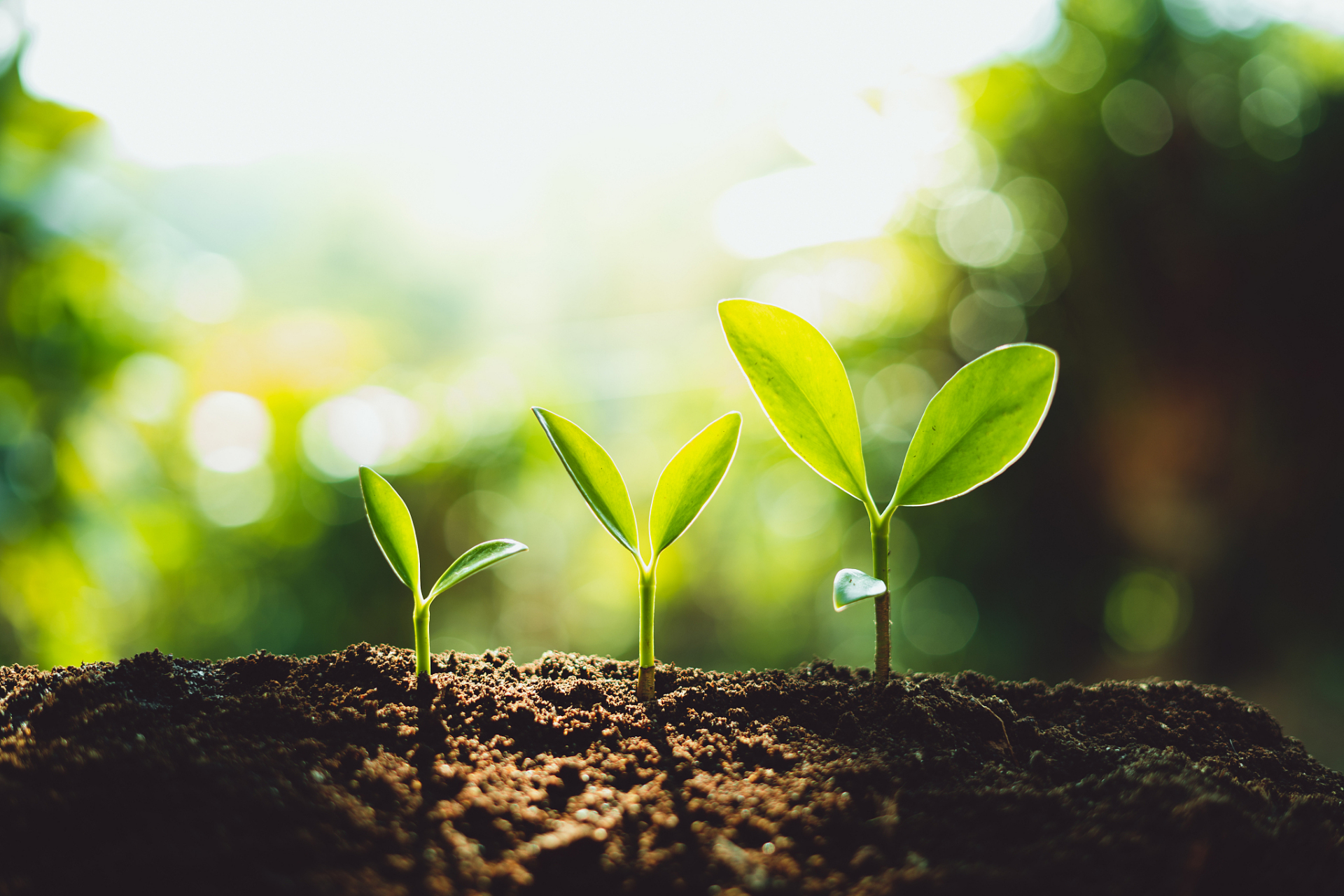 在她的工作中,她听到了各种各样的回答,这些答案让